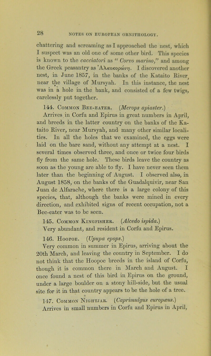 chattering and screaming as I approached the nest, which I suspect was an old one of some other bird. This species is known to the cacciutori as “ Corvo raarinoand among the Greek peasantry as 'AX/co/copajur). I discovered another nest, in June 1857, in the banks of the Kataito lliver^ near the village of Mursyah. In this instance, the nest was in a hole in the bank, and consisted of a few twigs, carelessly put together. 144. Common Bee-eater. (Merops apiaster.) Arrives in Corfu and Epirus in great numbers in April, and breeds in the latter country on the banks of the Ka- taito River, near Mursyah, and many other similar locali- ties. In all the holes that we examined, the eggs were laid on the bare sand, without any attempt at a nest. I several times observed three, and once or twice four birds fly from the same hole. These birds leave the country as soon as the young are able to fly. I have never seen them later than the beginning of August. I observed also, in August 1858, on the banks of the Guadalquivir, near San Juan de Alfarache, where there is a large colony of this species, that, although the banks were mined in every direction, and exhibited signs of recent occupation, not a Bee-eater was to be seen. 145. Common Kingfisher. (Alcedo ispida.) Very abundant, and resident in Corfu and Epirus. 146. Hoopoe. (Upupa epops.) Very common in summer in Epirus, arriving about the 20th March, and leaving the country in September. I do not think that the Hoopoe breeds in the island of Corfu, though it is common there in March and August. I once found a nest of this bird in Epirus on the ground, under a large boulder on a stony hill-side, but the usual site for it in that country appears to be the hole of a tree. ♦ 147. Common Nightjar. (Caprimulgus europceus.) Arrives iu small numbers in Corfu and Epirus in April,