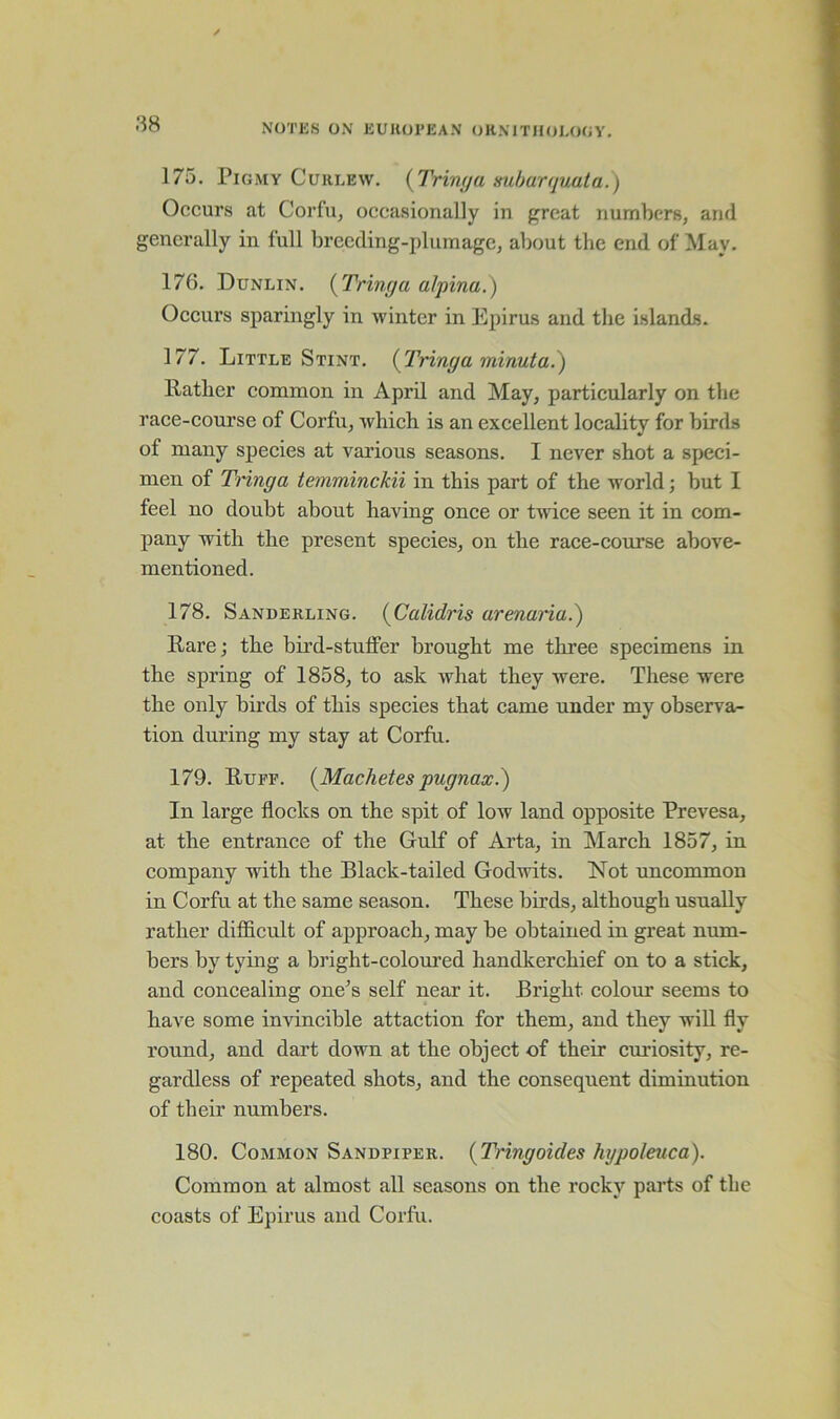 175. Pigmy Curlew. (Tringa xubarquata.) Occurs at Corfu, occasionally in great numbers, and generally in full breeding-plumage, about the end of May. 176. Dunlin. (Tringa alpina.) Occurs sparingly in winter in Epirus and the islands. 177. Little Stint. {Tringa minuta.) Rather common in April and May, particularly on the race-course of Corfu, which is an excellent locality for birds of many species at various seasons. I never shot a speci- men of Tringa temminckii in this part of the world; but I feel no doubt about having once or twice seen it in com- pany with the present species, on the race-course above- mentioned. 178. Sanderling. {Calidris arenana.) Rare; the bird-stuffer brought me three specimens in the spring of 1858, to ask Avhat they were. These were the only birds of this species that came under my observa- tion during my stay at Corfu. 179. Ruff. {Machetes pugnax.) In large flocks on the spit of low land opposite Prevesa, at the entrance of the Gulf of Arta, in March 1857, in company with the Black-tailed Godwits. Not uncommon in Corfu at the same season. These birds, although usually rather difficult of approach, may be obtained in great num- bers by tying a bright-coloured handkerchief on to a stick, and concealing one’s self near it. Bright colour seems to have some invincible attaction for them, and they will fly round, and dart down at the object of their curiosity, re- gardless of repeated shots, and the consequent diminution of their numbers. 180. Common Sandpiper. (Tringoides hypoleuca). Common at almost all seasons on the rocky parts of tbe coasts of Epirus and Corfu.