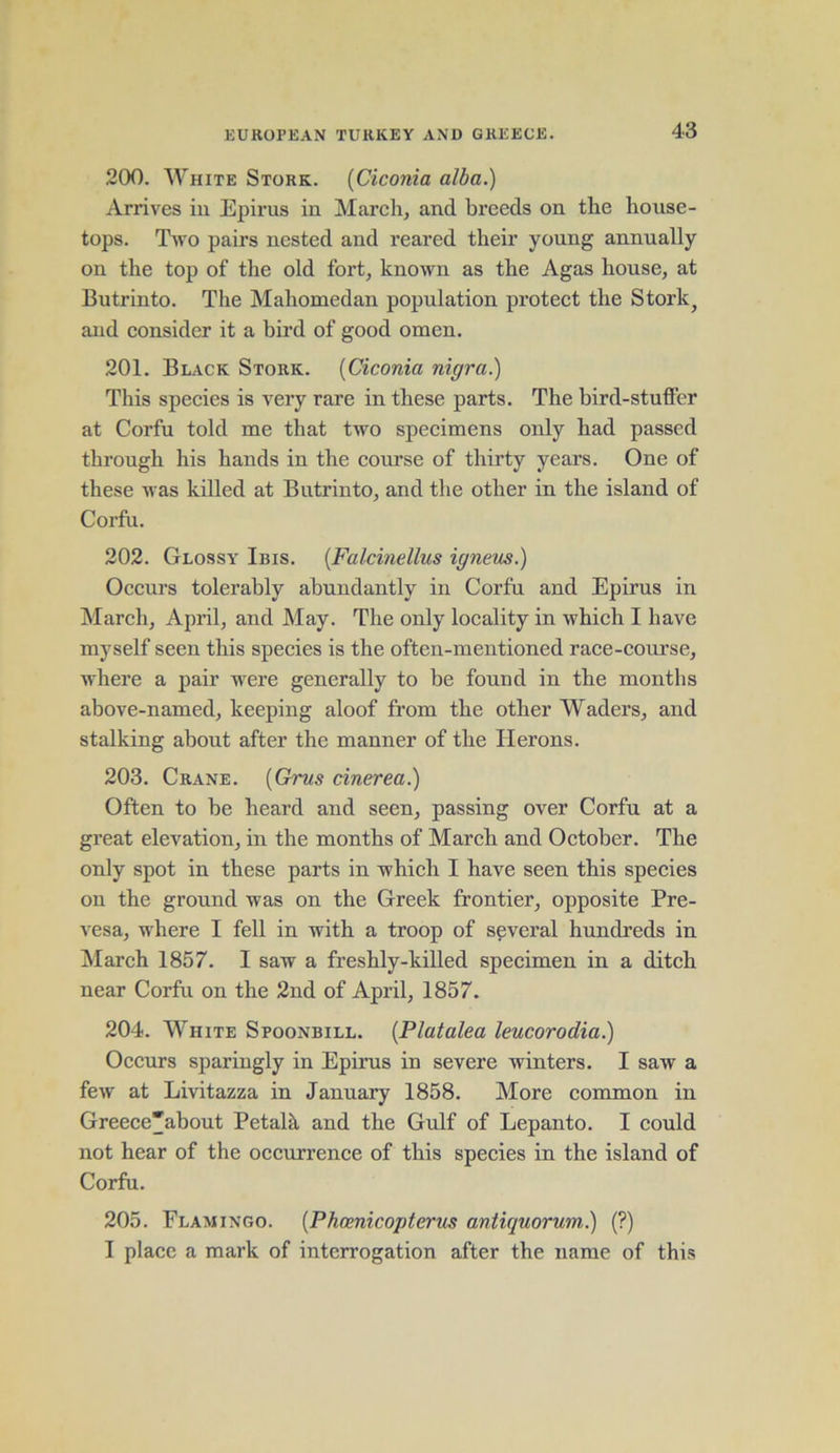 200. White Stork. (Ciconia alba.) Arrives in Epirus in March, and breeds on the house- tops. Two pairs nested and reared their young annually on the top of the old fort, known as the Agas house, at Butrinto. The Mahomedan population protect the Stork, and consider it a bird of good omen. 201. Black Stork. (Ciconia nigra.) This species is very rare in these parts. The bird-stuffer at Corfu told me that two specimens only had passed through his hands in the course of thirty years. One of these was killed at Butrinto, and the other in the island of Corfu. 202. Glossy Ibis. (Falcinellus igneus.) Occurs tolerably abundantly in Corfu and Epirus in March, April, and May. The only locality in which I have myself seen this species is the often-mentioned race-course, where a pair were generally to be found in the months above-named, keeping aloof from the other Waders, and stalking about after the manner of the Herons. 203. Crane. (Grus cinerea.) Often to be heard and seen, passing over Corfu at a great elevation, in the months of March and October. The only spot in these parts in which I have seen this species on the ground was on the Greek frontier, opposite Pre- vesa, where I fell in with a troop of several hundreds in March 1857. I saw a freshly-killed specimen in a ditch near Corfu on the 2nd of April, 1857. 204. White Spoonbill. (Platalea leucorodia.) Occurs sparingly in Epirus in severe winters. I saw a few at Livitazza in January 1858. More common in Greece'about Petalh and the Gulf of Lepanto. I could not hear of the occurrence of this species in the island of Corfu. 205. Flamingo. (Phcenicopterus antiquorum.) (?) I place a mark of interrogation after the name of this