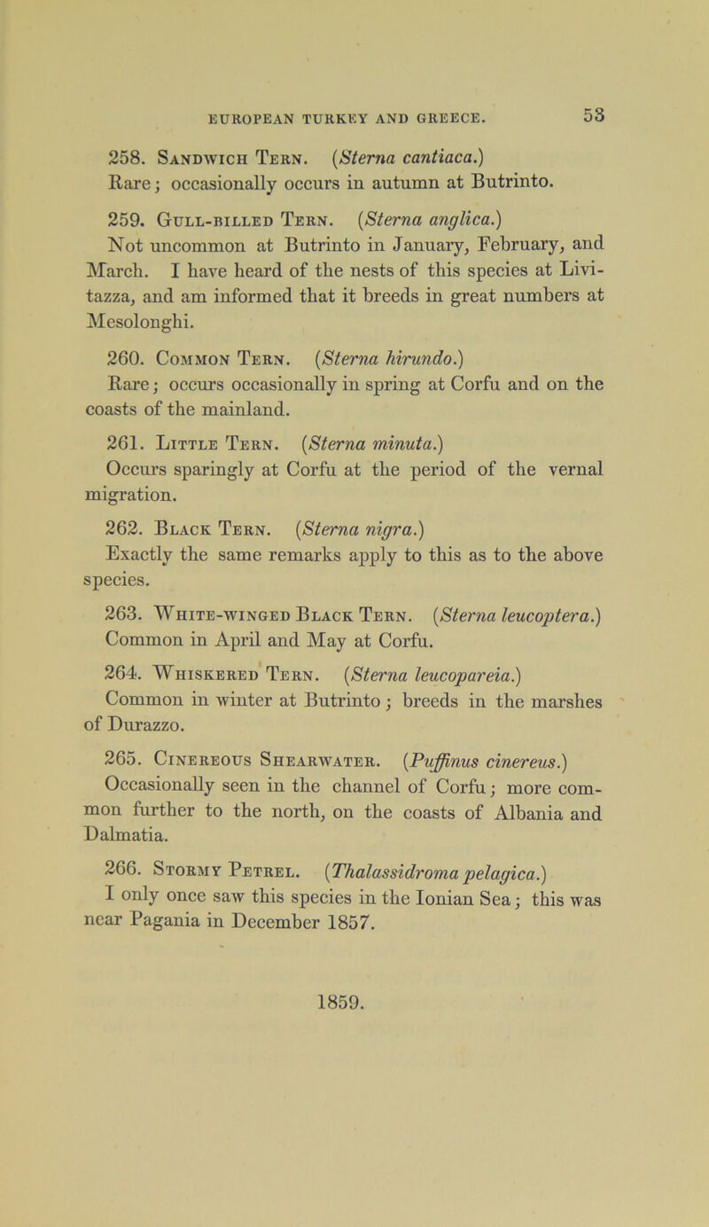 258. Sandwich Tern. (Sterna cantiaca.) Hare; occasionally occurs in autumn at Butrinto. 259. Gull-billed Tern. {Sterna anglica.) Not uncommon at Butrinto in January, February, and March. I have heard of the nests of this species at Livi- tazza, and am informed that it breeds in great numbers at Mesolonghi. 260. Common Tern. {Sterna hirundo.) Rare; occurs occasionally in spring at Corfu and on the coasts of the mainland. 261. Little Tern. {Sterna minuta.) Occurs sparingly at Corfu at the period of the vernal migration. 262. Black Tern. {Sterna nigra.) Exactly the same remarks apply to this as to the above species. 263. White-winged Black Tern. {Sterna leucoptera.) Common in April and May at Corfu. 264. Whiskered Tern. {Sterna leucopareia.) Common in winter at Butrinto ; breeds in the marshes of Durazzo. 265. Cinereous Shearwater. {Pnffinus cinereus.) Occasionally seen in the channel of Corfu; more com- mon further to the north, on the coasts of Albania and Dalmatia. 266. Stormy Petrel. {Thalassidromapelagica.) I only once saw this species in the Ionian Sea; this was near Pagania in December 1857. 1859.
