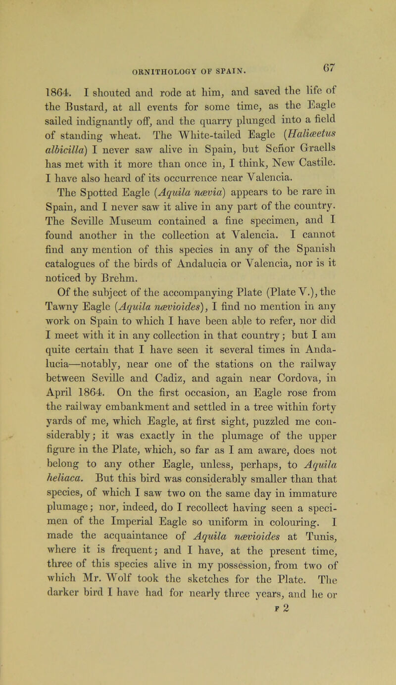 1864. I shouted and rode at him, and saved the life of the Bustard, at all events for some time, as the Eagle sailed indignantly off, and the quarry plunged into a field of standing wheat. The White-tailed Eagle (Hali&etus albicilla) I never saw alive in Spain, but Senor Graells has met with it more than once in, I think. New Castile. I have also heard of its occurrence near Valencia. The Spotted Eagle (Aquila ncevia) appears to be rare in Spain, and I never saw it alive in any part of the country. The Seville Museum contained a fine specimen, and I found another in the collection at Valencia. I cannot find any mention of this species in any of the Spanish catalogues of the birds of Andalucia or Valencia, nor is it noticed by Brehm. Of the subject of the accompanying Plate (Plate V.), the Tawny Eagle (.Aquila navioides), I find no mention in any work on Spain to which I have been able to refer, nor did I meet with it in any collection in that country; but I am quite certain that I have seen it several times in Anda- lucia—notably, near one of the stations on the railway between Seville and Cadiz, and again near Cordova, in April 1864. On the first occasion, an Eagle rose from the railway embankment and settled in a tree within forty- yards of me, which Eagle, at first sight, puzzled me con- siderably ; it was exactly in the plumage of the upper figure in the Plate, which, so far as I am aware, does not belong to any other Eagle, unless, perhaps, to Aquila heliaca. But this bird was considerably smaller than that species, of which I saw two on the same day in immature plumage; nor, indeed, do I recollect having seen a speci- men of the Imperial Eagle so uniform in colouring. I made the acquaintance of Aquila ncevioides at Tunis, where it is frequent; and I have, at the present time, three of this species alive in my possession, from two of which Mr. Wolf took the sketches for the Plate. The darker bird I have had for nearly three years, and he or f 2