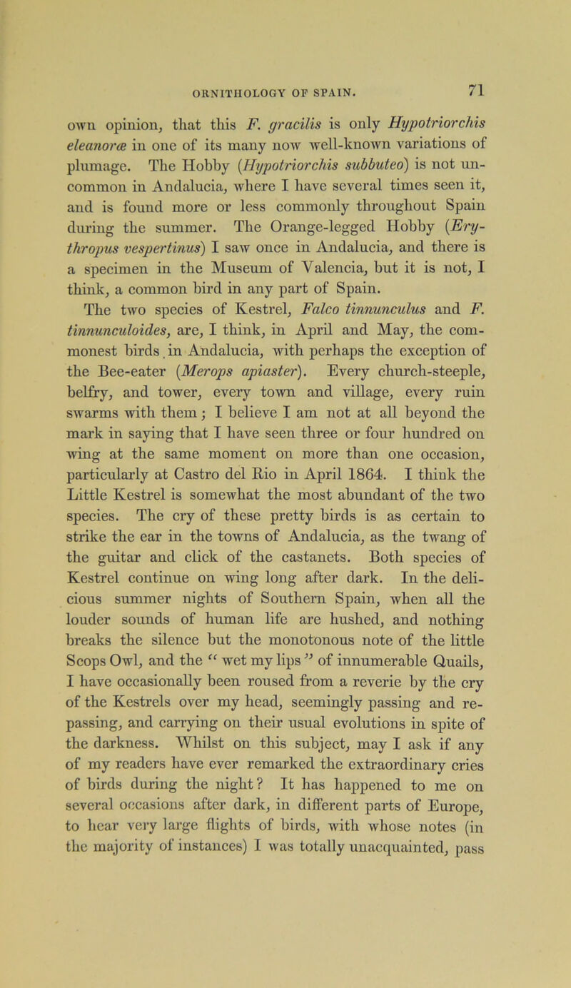 own opinion, that this F. gracilis is only Hypotriorchis eleanoree in one of its many now well-known variations of plumage. The Hobby [Hypotriorchis subbuteo) is not un- common in Andalucia, where I have several times seen it, and is found more or less commonly throughout Spain during the summer. The Orange-legged Hobby [Ery- thropus vespertinus) I saw once in Andalucia, and there is a specimen in the Museum of Valencia, but it is not, I think, a common bird in any part of Spain. The two species of Kestrel, Falco tinnunculus and F. tinnunculoides, are, I think, in April and May, the com- monest birds . in Andalucia, with perhaps the exception of the Bee-eater (Merops apiaster). Every church-steeple, belfry, and tower, every town and village, every ruin swarms with them; I believe I am not at all beyond the mark in saying that I have seen three or four hundred on wing at the same moment on more than one occasion, particularly at Castro del Rio in April 1864. I think the Little Kestrel is somewhat the most abundant of the two species. The cry of these pretty birds is as certain to strike the ear in the towns of Andalucia, as the twang of the guitar and click of the castanets. Both species of Kestrel continue on wing long after dark. In the deli- cious summer nights of Southern Spain, when all the louder sounds of human life are hushed, and nothing breaks the silence but the monotonous note of the little Scops Owl, and the “ wet my lips ” of innumerable Quails, I have occasionally been roused from a reverie by the cry of the Kestrels over my head, seemingly passing and re- passing, and carrying on their usual evolutions in spite of the darkness. Whilst on this subject, may I ask if any of my readers have ever remarked the extraordinary cries of birds during the night? It has happened to me on several occasions after dark, in different parts of Europe, to hear very large flights of birds, with whose notes (in the majority of instances) I was totally unacquainted, pass