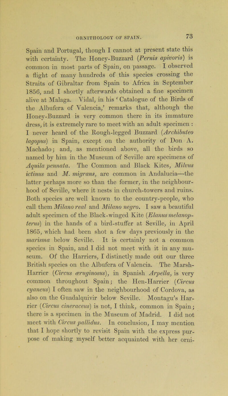 Spain and Portugal, though I cannot at present state this with certainty. The Honey-Buzzard (Pernis apivoris) is common in most parts of Spain, on passage. I observed a flight of many hundreds of this species crossing the Straits of Gibraltar from Spain to Africa in September 1856, and I shortly afterwards obtained a fine specimen alive at Malaga. Vidal, in his f Catalogue of the Birds of the Albufera of Valencia/ remarks that, although the Honey-Buzzard is very common there in its immature dress, it is extremely rare to meet with an adult specimen : I never heard of the Rough-legged Buzzard (.Archibuteo lagopus) in Spain, except on the authority of Don A. Machado; and, as mentioned above, all the birds so named by him in the Museum of Seville are specimens of Aquila pennata. The Common and Black Kites, Milvus ictinus and M. migrans, are common in Andalucia—the latter perhaps more so than the former, in the neighbour- hood of Seville, where it nests in church-towers and ruins. Both species are well known to the country-people, who call them Milano real and Milano negro. I saw a beautiful adult specimen of the Black-winged Kite (Elanus melanop- terus) in the hands of a bird-stuffer at Seville, in April 1865, which had been shot a few days previously in the marisma below Seville. It is certainly not a common species in Spain, and I did not meet with it in any mu- seum. Of the Harriers, I distinctly made out our three British species on the Albufera of Valencia. The Marsh- Harrier (Circus aeruginosas), in Spanish Arpella, is very common throughout Spain; the Hen-Harrier (Circus cyaneus) I often saw in the neighbourhood of Cordova, as also on the Guadalquivir below Seville. Montagu’s Har- rier (Circus cineraceus) is not, I think, common in Spain; there is a specimen in the Museum of Madrid. I did not meet with Circus pallidus. In conclusion, I may mention that I hope shortly to revisit Spain with the express pur- pose of making myself better acquainted with her orni-