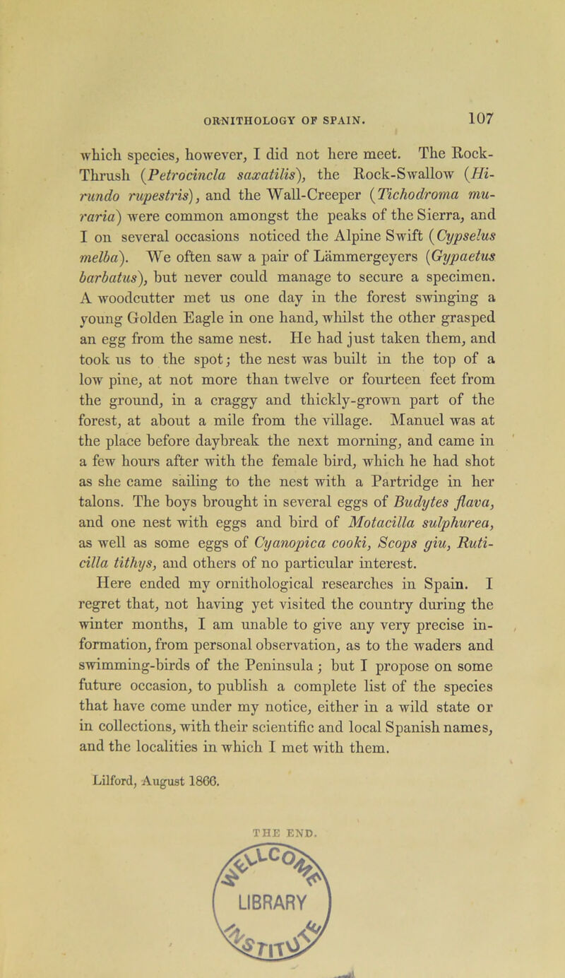 which species, however, I did not here meet. The Rock- Thrush (Petrocincla saxatilis), the Rock-Swallow (Hi- run do rupestris), and the Wall-Creeper (Tichodroma mu- raria) were common amongst the peaks of the Sierra, and I on several occasions noticed the Alpine Swift (Cypselus melba). We often saw a pair of Lammergeyers (Gypaetus barbatus), but never could manage to secure a specimen. A woodcutter met us one day in the forest swinging a young Golden Eagle in one hand, whilst the other grasped an egg from the same nest. He had just taken them, and took us to the spot; the nest was built in the top of a low pine, at not more than twelve or fourteen feet from the ground, in a craggy and thickly-grown part of the forest, at about a mile from the village. Manuel was at the place before daybreak the next morning, and came in a few hours after with the female bird, which he had shot as she came sailing to the nest with a Partridge in her talons. The boys brought in several eggs of Budytes flava, and one nest with eggs and bird of Motacilla sulphured, as well as some eggs of Cyanopica cooki, Scops giu, Ruti- cilla tithys, and others of no particular interest. Here ended my ornithological researches in Spain. I regret that, not having yet visited the country during the winter months, I am unable to give any very precise in- formation, from personal observation, as to the waders and swimming-birds of the Peninsula ; but I propose on some future occasion, to publish a complete list of the species that have come under my notice, either in a wild state or in collections, with their scientific and local Spanish names, and the localities in which I met with them. Lilford, August 1866. THE END.