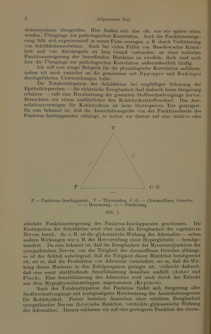 drüsensystems übergreifen. Hier finden sich also oft, wie wir später sehen werden, Übergänge zur pathologischen Korrelation. Auch die Funktionssteige- rung läßt sich experimentell in reiner Form erzeugen, z. ß. durch Verfütterung von Schilddrüsensubstanz. Auch bei vielen Fällen von Basedowscher Krank- heit und von Akromegalie ist kein Grund vorhanden, an einer isolierten Funktionssteigerung der betreffenden Blutdrüse zu zweifeln, doch sind auch hier die Übergänge zur pathologischen Korrelation außerordentlich häufig. Ich will nun einige Beispiele für die physiologische Korrelation anführen, indem ich mich zunächst an die gemeinsam mit Eppinger und Rudinger durchgeführten Untersuchungen halte. Die Totalexstirpation der Schilddrüse bei sorgfältiger Schonung der Epithelkörperchen — die elektrische Erregbarkeit darf dadurch keine Steigerung erfahren — ruft eine Herabsetzung der gesamten Stoffwechselvorgänge hervor. Betrachten wir etwas ausführlicher den Kohlehydratstoffwechsel. Das Assi- milationsvermögen für Kohlehydrate ist beim thyreopriven Tier gesteigert. Da nun bekannt ist, daß die Assimilationsgröße von der Funktionsbreite des Pankreas-Inselapparates abhängt, so haben wir daraus auf eine relative oder T P = Pankreas-Inselapparat, T = Thyreoidea, C. G. — Chromaffines Gewebe, — = Hemmung, -[■- = Förderung. Abb. 1. absolute Funktionssteigerung des Pankreas-Inselapparates geschlossen. Die Exstirpation der Schilddrüse setzt aber auch die Erregbarkeit der vegetativen Nerven herab. So z. B. ist die glykosurische Wirkung des Adrenalins — neben andern Wirkungen wie z. B. der Hervorrufung einer Hyperglobulie — herabge- mindert. Da nun bekannt ist, daß die Erregbarkeit der Myoneuraljunktion der sympathischen Nerven von der Tätigkeit des chromaffinen Gewebes abhängt, so ist der Schluß naheliegend, daß die Tätigkeit dieser Blutdrüse herabgesetzt ist, sei es, daß die Produktion von Adrenalin vermindert, sei es, daß die Wir- kung dieses Hormons in den Erfolgsorganen geringer ist, vielleicht dadurch, daß eine sonst stattfindende Sensibilisierung desselben ausfällt (Asher und Flack). Eine Sensibilisierung des Adrenalins wird auch durch das Extrakt aus dem Hypophysenhinterlappen angenommen (Kepinow). Nach der Totalexstirpation des Pankreas findet sich Steigerung aller Stoffwechselvorgänge mit hochgradigster Herabsetzung der Assimilationsgrenze für Kohlehydrat. Ferner bestehen Anzeichen einer erhöhten Erregbarkeit sympathischer Nerven (Löwische Reaktion, verstärkte glykosurische Wirkung des Adrenalins). Daraus schlossen wir auf eine gesteigerte Funktion des chrom-