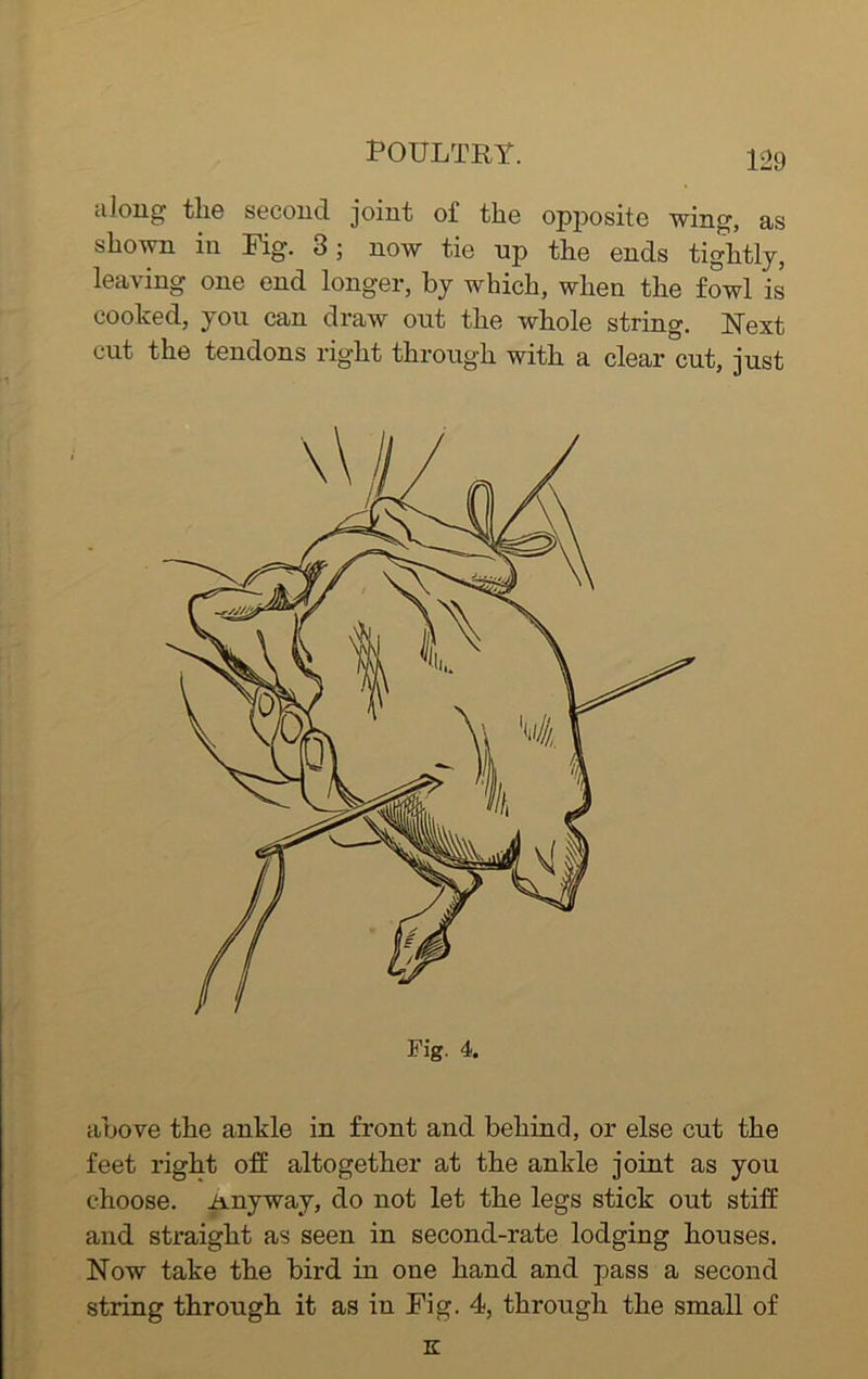 along the second joint of the opposite wing, as shown in Fig. 3; now tie up the ends tightly, leaving one end longer, by which, when the fowl is cooked, you can draw out the whole string. Next cut the tendons right through with a clear cut, just above the ankle in front and behind, or else cut the feet right off altogether at the ankle joint as you choose. Anyway, do not let the legs stick out stiff and straight as seen in second-rate lodging houses. Now take the bird in one hand and pass a second string through it as in Fig. 4, through the small of K