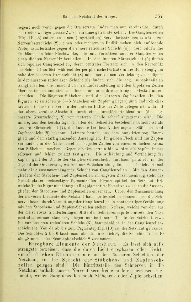 liegen; noch weiter gegen die Ora serrata findet man nur vereinzelte, durch mehr oder weniger grosse Zwischenräume getrennte Zellen. Die Ganglienzellen (Fig. 119, 3) entsenden einen (ungetheilten) Nervenfortsatz centralwärts zur Nervenfaserschicht (2), einen oder mehrere in. Endbäumchen sich auflösende Protoplasmafortsätze gegen die innere reticuläre Schicht (4); dort bilden die Endbäumchen leine Flechtwerke, die mit Fortsätzen anderer Ganglienzellen einen dichten Nervenfilz hersteilen. In der inneren Körnerschicht (5) finden sich bipolare Ganglienzellen, deren centraler Fortsatz sich in den Nervenfilz der Schicht 4 auflöst, während der peripherische Fortsatz in die Höhe steigt, um nahe der äusseren Grenzschicht (8) mit einer kleinen Verdickung zu endigen, ln der äusseren reticulären Schicht (G) finden sich die sog. subepithelialen Ganglienzellen, die hinsichtlich ihrer Endverästelung mit den bipolaren Zellen übereinstimmen und sich von ihnen nur durch ihre gedrungene Gestalt unter- scheiden. Die längeren Stäbchen- und die kürzeren Zapfenzellen (in den Figuren ist zwischen je 3 -5 Stäbchen ein Zapfen gelegen) sind dadurch cha- rakterisirt, dass ihr Kern in der unteren Hälfte der Zelle gelegen ist, während der obere kernlose Abschnitt durch eine durchlöcherte Membran (die sog. äussere Grenzschicht, 8) vom unteren Theile scharf abgegrenzt wird. Die innere, aus den kernhaltigen Theilen der Sehzellen bestehende Schicht ist als äussere Körnerschicht (7), die äussere kernlose Abtheilung als Stäbchen- und Zapfenschicht (9) bekannt. Letztere besteht aus dem punktirten sog. Innen- glied und dem stark glänzenden Aussenglied. Im gelben Fleck sind nur Zapfen vorhanden, in der Nähe desselben ist jeder Zapfen von einem einfachen Kranz von Stäbchen umgeben. Gegen die Ora serrata hin werden die Zapfen immer seltener und fehlen zuletzt fast ganz. Die Anhäufung und Vertheilung der Zapfen geht der Dichte der Ganglienzellenschicht durchaus parallel; in der Gegend der Ora serrata, wo fast nur Stäbchen sind, findet sich nicht einmal mehr eine zusammenhängende Schicht von Ganglienzellen. Mit den Aussen- gliedern der Stäbchen- und Zapfenzellen im engsten Zusammenhang steht das Mosaik platter, sechseckiger Pigmentzellen (Pigmentepithel der Netzhaut, 10), welche(in der Figur nichtdargestcllte)pigmentirte Fortsätze zwischen die Aussen- glieder der Stäbchen- und Zapfenzellen einsenken. Ueber den Zusammenhang der nervösen Elemente der Netzhaut hat man feststellen können, dass die Seh- nervenfasern durch Vermittlung der Ganglienzellen in contactartiger Verbindung mit den Stäbchen- und Zapfen-Sehzellen stehen. Gefässe, welche von den aus der meist etwas trichterförmigen Mitte der Sehnervenpapille eintretenden Vasa ccntralia retinae stammen, liegen nur im inneren Theile der Netzhaut, etwa bis zur äusseren reticulären Schicht (6), hauptsächlich in der Ganglienzellen- schicht (3). Von da ab bis zum Pigmentepithel (10) ist die Netzhaut gefässlos. Die Schichteu 2 bis 6 lässt man als „Gehirnschicht“, die Schichten 7 bis 10 als „Sinnes- oder Neuroepithelschicht“ zusammen. Erregbare Elemente der Netzhaut. Es lässt sich auf’s strengste beweisen, dass die durch Licht erregbaren oder licht- empfindlichen Elemente nur in den äusseren Schichten der Netzhaut, in der Schicht der Stäbchen- und Zapfenseh- zellen gelegen sind. Die Eintrittstelle des Sehnerven in die Netzhaut enthält ausser Nervenfasern keine anderen nervösen Ele- mente, weder Ganglienzellen noch Stäbchen- oder Zapfensehzellen.