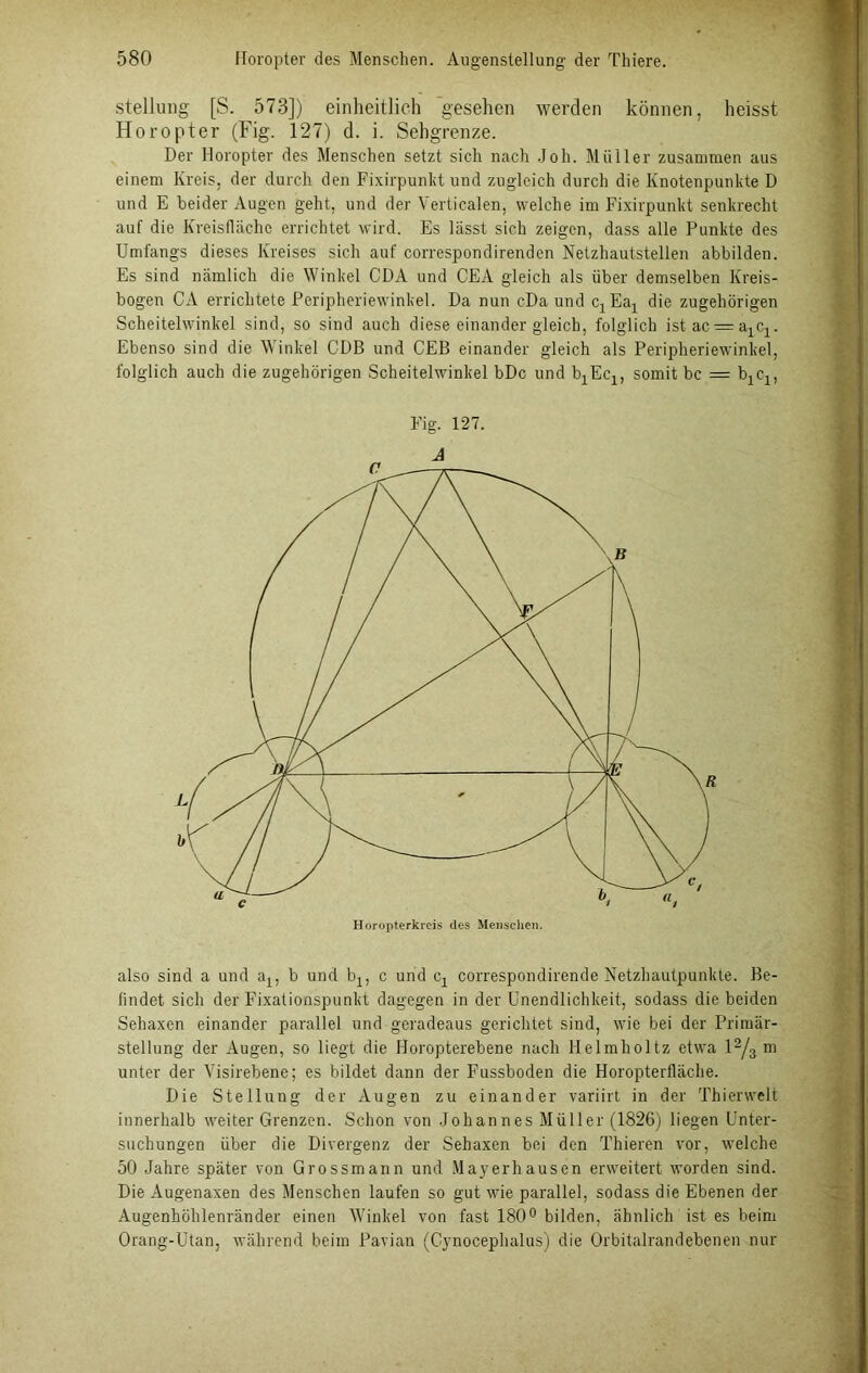 Stellung [S. 573]) einheitlich gesehen werden können, heisst Horopter (Fig. 127) d. i. Sehgrenze. Der Horopter des Menschen setzt sich nach Joh. Müller zusammen aus einem Kreis, der durch den Fixirpunkt und zugleich durch die Knotenpunkte D und E beider Augen geht, und der Verticalen, welche im Fixirpunkt senkrecht auf die Kreisfläche errichtet wird. Es lässt sich zeigen, dass alle Punkte des Umfangs dieses Kreises sich auf correspondirenden Netzhautstellen abbilden. Es sind nämlich die Winkel CDA und CEA gleich als über demselben Kreis- bogen CA errichtete Peripheriewinkel. Da nun cDa und CjEaj die zugehörigen Scheitelwinkel sind, so sind auch diese einander gleich, folglich istac = a1c1. Ebenso sind die Winkel CDB und CEB einander gleich als Peripheriewinkel, folglich auch die zugehörigen Scheitelwinkel bDc und b1Ec1, somit bc = b1c1, Fig. 127. also sind a und ax, b und bx, c und Cj correspondirende Netzhautpunkte. Be- findet sich der Fixationspunkt dagegen in der Unendlichkeit, sodass die beiden Sehaxen einander parallel und geradeaus gerichtet sind, wie bei der Primär- stellung der Augen, so liegt die Horopterebene nach Helmholtz etwa l2/3 m unter der Yisirebene; es bildet dann der Fussboden die Horopterfläche. Die Stellung der Augen zu einander variirt in der Thierwelt innerhalb weiter Grenzen. Schon von Johannes Müller (1826) liegen Unter- suchungen über die Divergenz der Sehaxen bei den Thieren vor, welche 50 Jahre später von Grossmann und Mayerhausen erweitert worden sind. Die Augenaxen des Menschen laufen so gut wie parallel, sodass die Ebenen der Augenhöhlenränder einen Winkel von fast 180° bilden, ähnlich ist es beim Orang-Utan, während beim Pavian (Cynocephalus) die Orbitalrandebenen nur