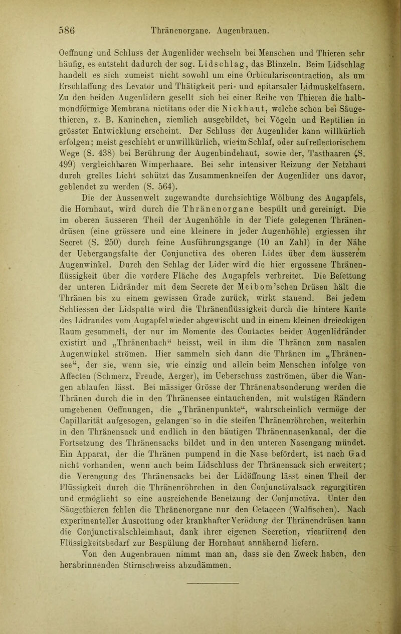 Oeffnung und Schluss der Augenlider wechseln bei Menschen und Tkieren sehr häufig, es entsteht dadurch der sog. Lidschlag, das Blinzeln. Beim Lidschlag handelt es sich zumeist nicht sowohl um eine Orbiculariscontraction, als um Erschlaffung des Levator und Thätigkeit peri- und epitarsaler Lidmuskelfasern. Zu den beiden Augenlidern gesellt sich bei einer Reihe von Thieren die halb- mondförmige Membrana nictitans oder die Nickhaut, welche schon bei Säuge- thieren, z. B. Kaninchen, ziemlich ausgebildet, bei Vögeln und Reptilien in grösster Entwicklung erscheint. Der Schluss der Augenlider kann willkürlich erfolgen: meist geschieht er unwillkürlich, wieirn Schlaf, oder aufreflectorischem AVege (S. 438) bei Berührung der xiugenbindehaut, sowie der, Tasthaaren (S. 499) vergleichbaren 'Wimperhaare. Bei sehr intensiver Reizung der Netzhaut durch grelles Licht schützt das Zusammenkneifen der Augenlider uns davor, geblendet zu werden (S. 564). Die der Aussenwelt zugewandte durchsichtige Wölbung des Augapfels, die Hornhaut, wird durch die Thränenorgane bespült und gereinigt. Die im oberen äusseren Theil der Augenhöhle in der Tiefe gelegenen Thränen- drüsen (eine grössere und eine kleinere in jeder Augenhöhle) ergiessen ihr Secret (S. 250) durch feine Ausführungsgange (10 an Zahl) in der Nähe der Uebergangsfalte der Conjunctiva des oberen Lides über dem äusserem Augenwinkel. Durch den Schlag der Lider wird die hier ergossene Thränen- flüssigkeit über die vordere Fläche des Augapfels verbreitet. Die Befettung der unteren Lidränder mit dem Secrete der Meibom’schen Drüsen hält die Thränen bis zu einem gewissen Grade zurück, wirkt stauend. Bei jedem Schliessen der Lidspalte wird die Thränenflüssigkeit durch die hintere Kante des Lidrandes vom Augapfel wieder abgewischt und in einem kleinen dreieckigen Raum gesammelt, der nur im Momente des Contactes beider Augenlidränder existirt und „Thränenbach“ heisst, weil in ihm die Thränen zum nasalen Augenwinkel strömen. Hier sammeln sich dann die Thränen im „Thränen- see“, der sie, wenn sie, wie einzig und allein beim Menschen infolge von Affecten (Schmerz, Freude, Aerger), im Ueberschuss Zuströmen, über die Wan- gen ablaufen lässt. Bei mässiger Grösse der Thränenabsonderung werden die Thränen durch die in den Thränensee eintauchenden, mit wulstigen Rändern umgebenen Oeffnungen, die „Tkränenpunkte“, wahrscheinlich vermöge der Capillarität aufgesogen, gelangen so in die steifen Thränenröhrchen, weiterhin in den Thränensack und endlich in den häutigen Thränennasenkanal, der die Fortsetzung des Thränensacks bildet und in den unteren Nasengang mündet. Ein Apparat, der die Thränen pumpend in die Nase befördert, ist nach Gad nicht vorhanden, wenn auch beim Lidschluss der Thränensack sich erweitert; die Verengung des Thränensacks bei der Lidöffnung lässt einen Theil der Flüssigkeit durch die Thränenröhrchen in den Conjunctivalsack regurgitiren und ermöglicht so eine ausreichende Benetzung der Conjunctiva. Unter den Säugethieren fehlen die Thränenorgane nur den Cetaceen (Walfischen). Nach experimenteller Ausrottung oder krankhafter Verödung der Thränendriisen kann die Conjunctivalschleimhaut, dank ihrer eigenen Secretion, vicariirend den Flüssigkeitsbedarf zur Bespülung der Hornhaut annähernd liefern. Von den Augenbrauen nimmt man an, dass sie den Zweck haben, den herabrinnenden Stirnschweiss abzudämmen.