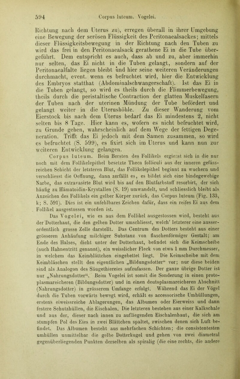Richtung nach dem Uterus zu), erregen überall in ihrer Umgebung eine Bewegung der serösen Flüssigkeit des Peritonaealsackes; mittels dieser Flüssigkeitsbewegung in der Richtung nach den Tuben zu wird das frei in den Peritonaealsack gerathene Ei in die Tube über- geführt. Dem entspricht es auch, dass ab und zu, aber immerhin nur selten, das Ei nicht in die Tuben gelangt, sondern auf der Peritonaealfalte liegen bleibt und hier seine weiteren Veränderungen durchmacht, cvent. wenn es befruchtet wird, hier die Entwicklung des Embryos statthat (Abdominalschwangerschaft). Ist das Ei in die Tuben gelangt, so wird es theils durch die Flimmerbewegung, theils durch die peristaltische Contraction der glatten Muskelfasern der Tuben nach der uterinen Mündung der Tube befördert und gelangt weiter in die Uterushöhle. Zu dieser Wanderung vom Eierstock bis nach dem Uterus bedarf das Ei mindestens 2, nicht selten bis 8 Tage. Hier kann es, wofern es nicht befruchtet wird, zu Grunde gehen, wahrscheinlich auf dem Wege der fettigen Dege- neration. Trifft das Ei jedoch mit dem Samen zusammen, so wird es befruchtet (S. 599), es fixirt sich im Uterus und kann nun zur weiteren Entwicklung gelangen. Corpus luteum. Beim Bersten des Follikels ergiesst sich in die nur noch mit dem Follikelepithel besetzte Theca folliculi aus der inneren gefäss- reichen Schicht der letzteren Blut, das Follikelepithel beginnt zu wuchern und verschliesst die Oeffnung, dann zerfällt es, es bildet sich eine bindegewebige Narbe, das extravasirte Blut wird bis auf den Blutfarbstoff resorbirt. der sich häufig zu Hämatoidin-Krystallen (S. 19) umwandelt, und schliesslich bleibt als Anzeichen des Follikels ein gelber Körper zurück, das Corpus luteum (Fig. 133, k; S. 591). Dies ist ein unfehlbares Zeichen dafür, dass ein reifes Ei aus dem Follikel ausgestossen worden ist. Das Vogelei, wie es aus dem Follikel ausgestossen wird, besteht aus der Dotterhaut, die den gelben Dotter umschliesst, welch’ letzterereine ausser- ordentlich grosse Zelle darstellt. Das Centrum des Dotters besteht aus einer grösseren Anhäufung milchiger Substanz von flaschenförmiger Gestalt; am Ende des Halses, dicht unter der Dotterhaut, befindet sich die Keimscheibe (auch Hahnentritt genannt), ein weisslicher Fleck von etwa 1 mm Durchmesser, in welchem das Keimblättchen eingebettet liegt. Die Keimscheibe mit dem Keimbläschen stellt den eigentlichen „Bildungsdotter“ vor; nur diese beiden sind als Analogon des Säugethiereies aufzufassen. Der ganze übrige Dotter ist nur „Nahrungsdotter“. Beim Vogelei ist somit die Sonderung in einen proto- plasmareicheren (Bildungsdotter) und in einen deutoplasmareicheren Abschnitt (Nahrungsdotter) in grösserem Umfange erfolgt. Während das Ei der Vögel durch die Tuben vorwärts bewegt wird, erhält es accessorische Umhüllungen, erstens eiweissreiche Ablagerungen, das Albuinen oder Eierweiss und dann festere Schutzhüllen, die Eischalen. Die letzteren bestehen aus einer Kalkschale und aus der, dieser nach innen zu aufliegenden Eischalenhaut, die sich am stumpfen Pol des Eies in zwei Blättchen spaltet, zwischen denen sich Luft be- findet. Das Albumen besteht aus mehrfachen Schichten: die consistentesten umhüllen unmittelbar die gelbe Dotterkugel und gehen von zvrei diametral gegenüberliegenden Punkten derselben als spiralig (die eine rechts, die andere