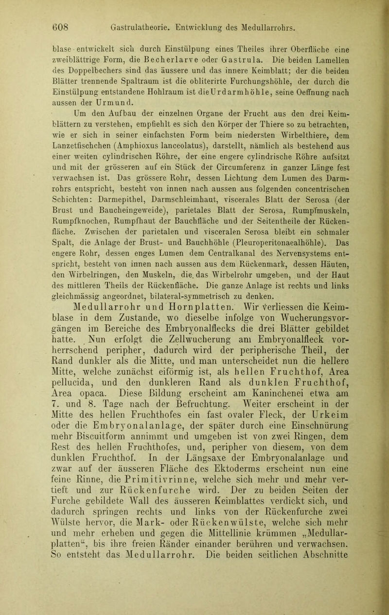 blase entwickelt sich durch Einstülpung eines Theiles ihrer Oberfläche eine zweiblättrige Form, die Becherlarve oder Gastrula. Die beiden Lamellen des Doppelbechers sind das äussere und das innere Keimblatt; der die beiden Blätter trennende Spaltraum ist die obliterirte Furchungshöhle, der durch die Einstülpung entstandene Hohlraum ist dieUrdarmhöhle, seine Oeffnung nach aussen der Urmund. Um den Aufbau der einzelnen Organe der Frucht aus den drei Keim- blättern zu verstehen, empfiehlt es sich den Körper der Thiere so zu betrachten, wie er sich in seiner einfachsten Form beim niedersten Wirbelthiere, dem Lanzetfischchen (Amphioxus lanceolatus), darstellt, nämlich als bestehend aus einer weiten cylindrischen Röhre, der eine engere cylindrische Röhre aufsitzt und mit der grösseren auf ein Stück der Circumferenz in ganzer Länge fest verwachsen ist. Das grössere Rohr, dessen Lichtung dem Lumen des Darm- rohrs entspricht, besteht von innen nach aussen aus folgenden concentrischen Schichten: Darmepithel, Darmschleimhaut, viscerales Blatt der Serosa (der Brust und Baucheingeweide), parietales Blatt der Serosa, Rump'fmuskeln, Rumpfknochen, Rumpfhaut der Bauchfläche und der Seitentheile der Rücken- fläche. Zwischen der parietalen und visceralen Serosa bleibt ein schmaler Spalt, die Anlage der Brust- und Bauchhöhle (Pleuroperitonaealhöhle). Das engere Rohr, dessen enges Lumen dem Centralkanal des Nervensystems ent- spricht, besteht von innen nach aussen aus dem Rückenmark, dessen Häuten, den Wirbelringen, den Muskeln, die. das Wirbelrohr umgeben, und der Haut des mittleren Theils der Rückenfläche. Die ganze Anlage ist rechts und links gleichmässig angeordnet, bilateral-symmetrisch zu denken. Medullarrohr und Hornplatten. Wir verliessen die Keim- blase in dem Zustande, wo dieselbe infolge von Wucherungsvor- gängen im Bereiche des Embryonalflecks die drei Blätter gebildet hatte. Nun erfolgt die Zellwucherung am Embryonalfleck vor- herrschend peripher, dadurch wird der peripherische Theil, der Rand dunkler als die Mitte, und man unterscheidet nun die hellere Mitte, welche zunächst eiförmig ist, als hellen Fruchthof, Area pellucida, und den dunkleren Rand als dunklen Fruchthof, Area opaca. Diese Bildung erscheint am Kaninchenei etwa am 7. und 8. Tage nach der Befruchtung. Weiter erscheint in der Mitte des hellen Fruchthofes ein fast ovaler Fleck, der Urkeim oder die Embryonalanlage, der später durch eine Einschnürung mehr Biscuitform annimmt und umgeben ist von zwei Ringen, dem Rest des hellen Fruchthofes, und, peripher von diesem, von dem dunklen Fruchthof. In der Längsaxe der Embryonalanlage und zwar auf der äusseren Fläche des Ektoderms erscheint nun eine feine Rinne, die Primitivrinne, welche sich mehr und mehr ver- tieft und zur Rückenfurche wird. Der zu beiden Seiten der Furche gebildete Wall des äusseren Keimblattes verdickt sich, und dadurch springen rechts und links von der Rückenfurche zwei Wülste hervor, die Mark- oder Rückenwülste, welche sich mehr und mehr erheben und gegen die Mittellinie krümmen „Medullar- platten“, bis ihre freien Ränder einander berühren und verwachsen. So entsteht das Medullarrohr. Die beiden seitlichen Abschnitte