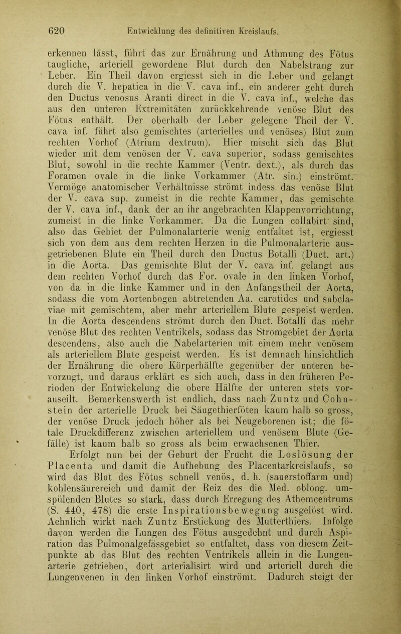 erkennen lässt, führt das zur Ernährung und Athraung des Fötus taugliche, arteriell gewordene Blut durch den Nabelstrang zur Leber. Ein Theil davon ergiesst sich in die Leber und gelangt durch die V. hepatica in die- V. eava inf., ein anderer geht durch den Ductus venosus Aranti direct in die V. cava inf., welche das aus den unteren Extremitäten zurückkehrende venöse Blut des Fötus enthält. Der oberhalb der Leber gelegene Theil der V. cava inf. führt also gemischtes (arterielles und venöses) Blut zum rechten Vorhof (Atrium dextrum). liier mischt sich das Blut wieder mit dem venösen der V. cava superior, sodass gemischtes Blut, sowohl in die rechte Kammer (Ventr. dext.), als durch das Eoramen ovale in die linke Vorkammer (Atr. sin.) einströmt. Vermöge anatomischer Verhältnisse strömt indess das venöse Blut der V. cava sup. zumeist in die rechte Kammer, das gemischte der V. cava inf., dank der an ihr angebrachten Klappen Vorrichtung, zumeist in die linke Vorkammer. Da die Lungen collabirt sind, also das Gebiet der Pulmonalarterie wenig entfaltet ist, ergiesst sich von dem aus dem rechten Herzen in die Pulmonalarterie aus- getriebenen Blute ein Theil durch den Ductus Botalli (Duct. art.) in die Aorta, Das gemischte Blut der V. cava inf. gelangt aus dem rechten Vorhof durch das For. ovale in den linken Vorhof, von da in die linke Kammer und in den Anfangstheil der Aorta, sodass die vom Aortenbogen abtretenden Aa. carotides und subcla- viae mit gemischtem, aber mehr arteriellem Blute gespeist werden. In die Aorta descendens strömt durch den Duct. Botalli das mehr venöse Blut des rechten Ventrikels, sodass das Stromgebiet der Aorta descendens, also auch die Nabelarterien mit einem mehr venösem als arteriellem Blute gespeist werden. Es ist demnach hinsichtlich der Ernährung die obere Körperhälfte gegenüber der unteren be- vorzugt, und daraus erklärt es sich auch, dass in den früheren Pe- rioden der Entwickelung die obere Hälfte der unteren stets vor- auseilt. Bemerkenswerth ist endlich, dass nach Zuntz und Cohn- stein der arterielle Druck bei Säugethierföten kaum halb so gross, der venöse Druck jedoch höher als bei Neugeborenen ist; die fö- tale Druckdifferenz zwischen arteriellem und venösem Blute (Ge- fälle) ist kaum halb so gross als beim erwachsenen Thier. Erfolgt nun bei der Geburt der Frucht die Loslösung der Placenta und damit die Aufhebung des Placentarkreislaufs, so wird das Blut des Fötus schnell venös, d. h. (sauerstoffarm und) kohlensäurereich und damit der Reiz des die Med. oblong, um- spülenden Blutes so stark, dass durch Erregung des Athemcentrums (S. 440, 478) die erste Inspirationsbewegung ausgelöst wird. Aehnlich wirkt nach Zuntz Erstickung des Mutterthiers. Infolge davon werden die Lungen des Fötus ausgedehnt und durch Aspi- ration das Pulmonalgefässgebiet so entfaltet, dass von diesem Zeit- punkte ab das Blut des rechten Ventrikels allein in die Lungen- arterie getrieben, dort arterialisirt wird und arteriell durch die Lungenvenen in den linken Vorhof einströmt. Dadurch steigt der