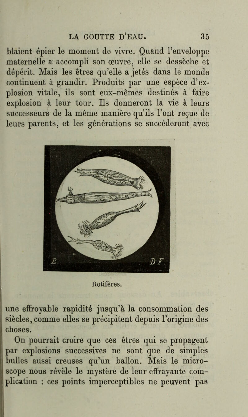 blaient épier le moment de vivre. Quand l’enveloppe maternelle a accompli son œuvre, elle se dessèche et dépérit. Mais les êtres qu’elle a jetés dans le monde continuent à grandir. Produits par une espèce d’ex- plosion vitale, ils sont eux-mêmes destinés à faire explosion à leur tour. Ils donneront la vie à leurs successeurs de la même manière qu’ils l’ont reçue de leurs parents, et les générations se succéderont avec Rotifères. ! une effroyable rapidité jusqu’à la consommation des Il siècles, comme elles se précipitent depuis l’origine des choses. On pourrait croire que ces êtres qui se propagent I par explosions successives ne sont que de simples I bulles aussi creuses qu’un ballon. Mais le micro- I scope nous révèle le mystère de leur effrayante com- j! plication : ces points imperceptibles ne peuvent pas