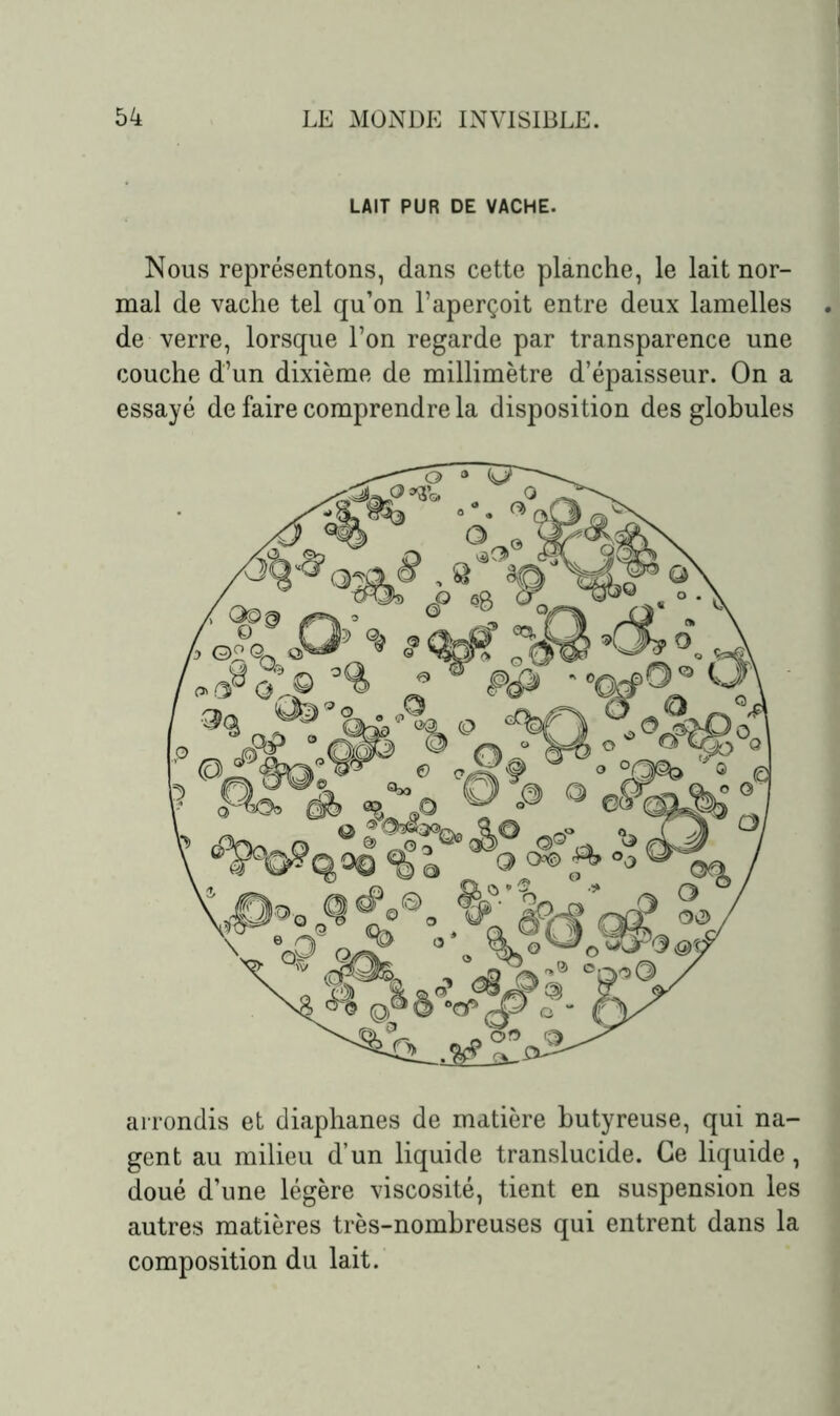 LAIT PUR DE VACHE. Nous représentons, dans cette planche, le lait nor- mal de vache tel qu’on l’aperçoit entre deux lamelles de verre, lorsque l’on regarde par transparence une couche d’un dixième de millimètre d’épaisseur. On a essayé de faire comprendre la disposition des globules arrondis et diaphanes de matière butyreuse, qui na- gent au milieu d’un liquide translucide. Ce liquide, doué d’une légère viscosité, tient en suspension les autres matières très-nombreuses qui entrent dans la composition du lait.