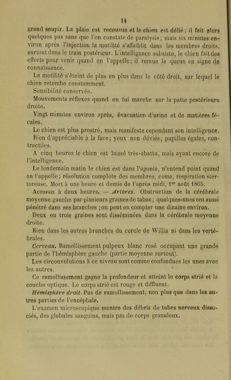 grand soupir. La plaie est recousue et le chien est délié; il fait alors quelques pas sans que l’on constate de paralysie; mais six minutes en- viron après 1 injection la motilité s’affaiblit dans les membres droits, surtout dans le train postérieur. L intelligence subsiste, le chien fait des efforts pour venir quand on l’appelle; il remue la queue en signe de connaissance. La motilité s éteint de plus en plus dans le côté droit, sur lequel le chien retombe constamment. Sensibilité conservée. Mouvements réflexes quand on lui marche sur la patte postérieure droite. Vingt minutes environ après, évacuation d’urino et de matières fé- cales. Le chien est plus prostré, mais manifeste cependant son intelligence. Rien d’appréciable à la face; yeux non déviés; pupilles égales, con- tractiles. A cinq heures le chien est laissé très-abattu, mais ayant encore de l’intelligence. Le lendemain matin le chien est dans l’agonie, n'entend point quand on l’appelle; résolution complète des membres, coma, respiration ster- toreuse. Mort à une heure et demie de l’après midi, 1er août 1865. Autopsie à deux heures. — Artères. Obstruction de la cérébrale moyenne gauche par plusieurs graines de tabac; quelques-unes ont aussi pénétré dans ses branches ; on peut en compter une dizaine environ. Deux ou trois graines sont disséminées dans la cérébrale moyenne droite. Rien dans les autres branches du cercle de Wüjis ni dans les verté- brales. Cerveau. Ramollissement pulpeux blanc rosé occupant une grande partie de l’hémisphère gauche (partie moyenne surtout). Les circonvolutions à ce niveau sont comme confondues les unes avec les autres. Ce ramollissement gagne la profondeur et attoint lo corps strié et la couche optique. Le corps strié est rouge et difiluent. Hémisphère droit. Pas do ramollissement, non plus que dans les au- tres parties de l’encéphale. L’examen microscopique montre des débris do tubes nerveux disso- ciés, des globules sanguins, mais pas de corps granuleux.