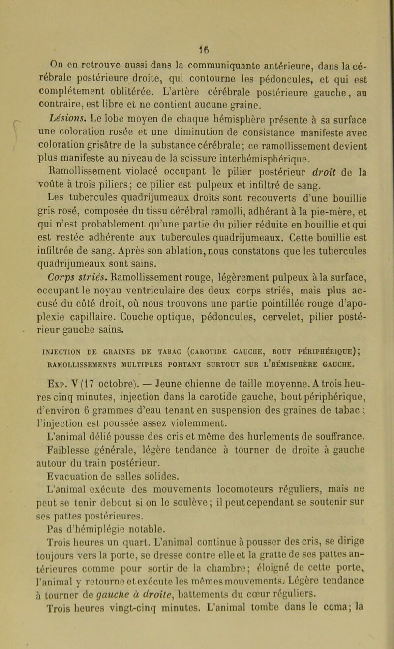 lfi On en retrouve aussi dans la communiquante antérieure, dans la cé- rébrale postérieure droite, qui contourne les pédoncules, et qui est complètement oblitérée. L’artère cérébrale postérieure gauche, au contraire, est libre et ne contient aucune graine. Lésions. Le lobe moyen de chaque hémisphère présente à sa surface une coloration rosée et une diminution de consistance manifeste avec coloration grisâtre de la substance cérébrale; ce ramollissement devient plus manifeste au niveau de la scissure interhémisphérique. Ramollissement violacé occupant le pilier postérieur droit de la voûte à trois piliers; ce pilier est pulpeux et infiltré de sang. Les tubercules quadrijumeaux droits sont recouverts d’une bouillie gris rosé, composée du tissu cérébral ramolli, adhérant à la pie-mère, et qui n’est probablement qu’une partie du pilier réduite en bouillie et qui est restée adhérente aux tubercules quadrijumeaux. Cette bouillie est infiltrée de sang. Après son ablation, nous constatons que les tubercules quadrijumeaux sont sains. Corps striés. Ramollissement rouge, légèrement pulpeux à la surface, occupant le noyau ventriculaire des deux corps striés, mais plus ac- cusé du côté droit, où nous trouvons une partie pointillée rouge d’apo- plexie capillaire. Couche optique, pédoncules, cervelet, pilier posté- rieur gauche sains. INJECTION DE GRAINES DE TABAC (CAROTIDE GAUCRE, BOUT PÉRIPHÉRIQUE) J RAMOLLISSEMENTS MULTIPLES PORTANT SURTOUT SUR l’üÉMISPDÈRE GAUCHE. Exp. V (17 octobre). — Jeune chienne de taille moyenne. A trois heu- res cinq minutes, injection dans la carotide gauche, bout périphérique, d’environ 6 grammes d’eau tenant en suspension des graines de tabac ; l’injection est poussée assez violemment. L’animal délié pousse des cris et môme des hurlements de souffrance. Faiblesse générale, légère tendance à tourner de droite à gauche autour du train postérieur. Evacuation de selles solides. L’animal exécute des mouvements locomoteurs réguliers, mais ne peut se tenir debout si on le soulève; il peuteependant se soutenir sur ses pattes postérieures. Pas d’hémiplégie notable. Trois heures un quart. L’animal continue à pousser des cris, se dirige toujours vers la porte, se dresse conlre elle et la gratte de ses pattes an- térieures comme pour sortir de la chambre; éloigné do cette porte, l’animal y retourne et exécute les mômes mouvements: Légère tendance à tourner de gauche à droite, battements du cœur réguliers. Trois heures vingt-cinq minutes. L’animal tombe dans le coma; la