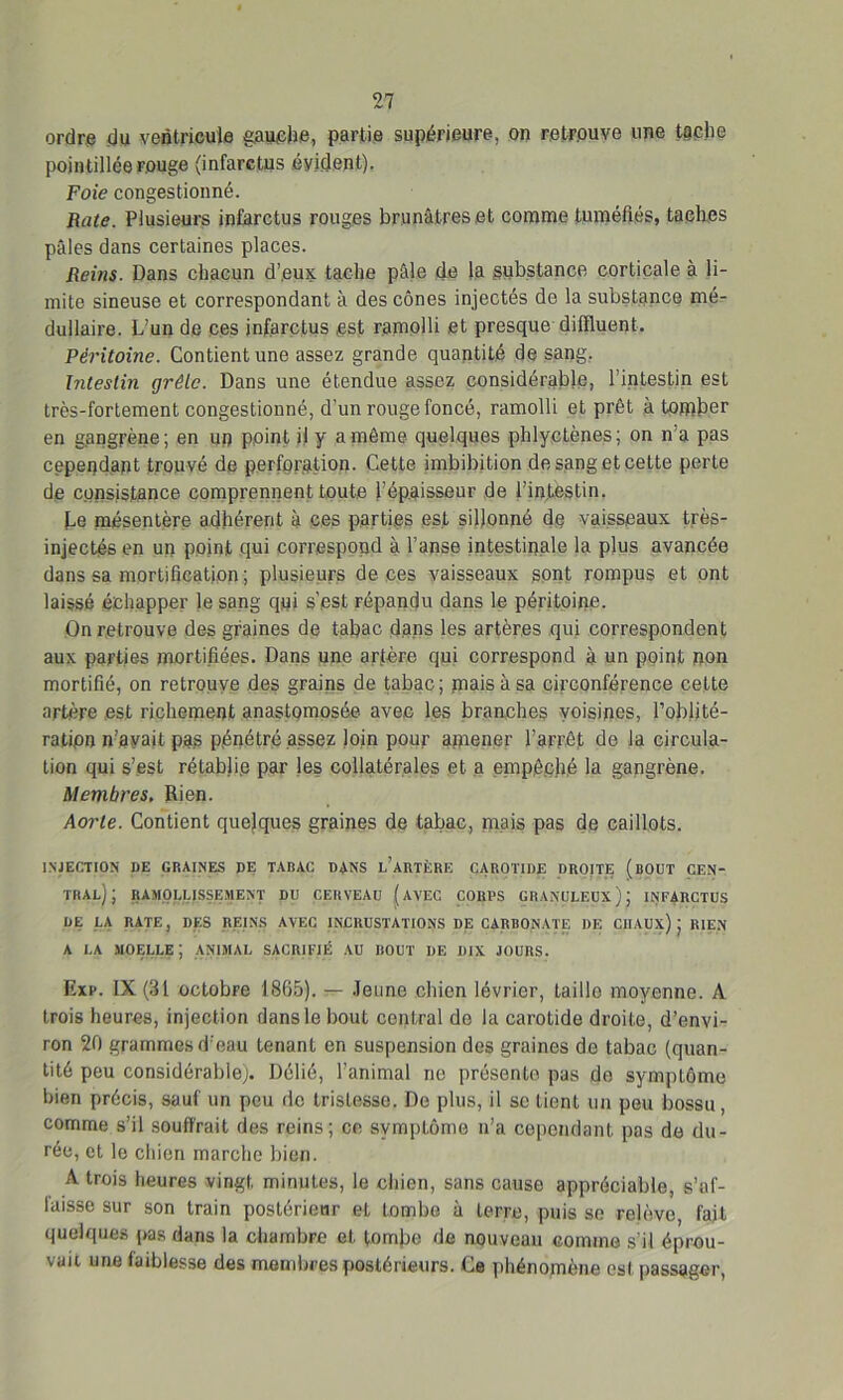 ordre du ventricule gauelm, partie supérieure, on retrouve une tache pointillée rouge (infarctus évident). Foie congestionné. Rate. Plusieurs infarctus rouges brunâtres et comme tuméfiés, taches pâles dans certaines places. Reins. Dans chacun d’eux, tache pâle de la substance corticale à li- mite sineuse et correspondant à des cônes injectés de la substance mé- dullaire. L’un de ces infarctus est ramolli et presque diffluent. Péritoine. Contient une assez grande quantité de sang. intestin grêle. Dans une étendue assez considérable, l’intestin est très-fortement congestionné, d'un rouge foncé, ramolli et prêt à tomber en gangrène ; en un point il y a même quelques phlyctènes ; on n’a pas cependant trouvé de perforation. Cette imbibition de sang et cette perte de consistance comprennent toute l’épaisseur de l’infèstin. Le mésentère adhérent à ces parties est sillonné de vaisseaux très- injectés en un point qui correspond à l’anse intestinale la plus avancée dans sa mortification ; plusieurs de ces vaisseaux sont rompus et ont laissé échapper le sang qui s’est répandu dans le péritoine. On retrouve des graines de tabac dans les artères qui correspondent aux parties mortifiées. Dans une artère qui correspond à un point non mortifié, on retrouve des grains de tabac; mais à sa circonférence cette artère est richement anastomosée avec les branches voisines, l’oblité- ration n’avait pas pénétré assez loin pour amener l’arrêt de la circula- tion qui s’est rétablie par les collatérales et a empêché la gangrène. Membres. Rien. Aorte. Contient quelques graines de tabac, mais pas de caillots. INJECTION DE GRAINES DE TABAC DANS L’ARTÈRE CAROTIDE DROITE (BOUT CEN- TRAL); RAMOLLISSEMENT DU CERVEAU ( AVEC CORPS GRANULEUX); INFARCTUS DE LA RATE, DES REINS AVEC INCRUSTATIONS DE CARBONATE DE CHAUX); RIEN a la moelle; ANIMAL SACRIFIÉ AU ROUT DE DIX JOURS. Exp. IX (31 octobre 1805). — Jeune chien lévrier, taille moyenne. A trois heures, injection dans le bout central de la carotide droite, d’envi- ron 20 grammes d’eau tenant en suspension des graines de tabac (quan- tité peu considérable). Délié, l’animal ne présento pas de symptôme bien précis, sauf un peu de tristesse. Do plus, il se tient un peu bossu, comme s’il souffrait des reins; ce symptôme n’a cependant pas de du- rée, et le chien marche bien. A trois heures vingt minutes, le chien, sans cause appréciable, s'af- faisse sur son train postérieur et tombe à terre, puis se relève, fait quelques pas dans la chambre et tombe de nouveau comme s’il éprou- vait une faiblesse des membres postérieurs. Ce phénomène esl passager,