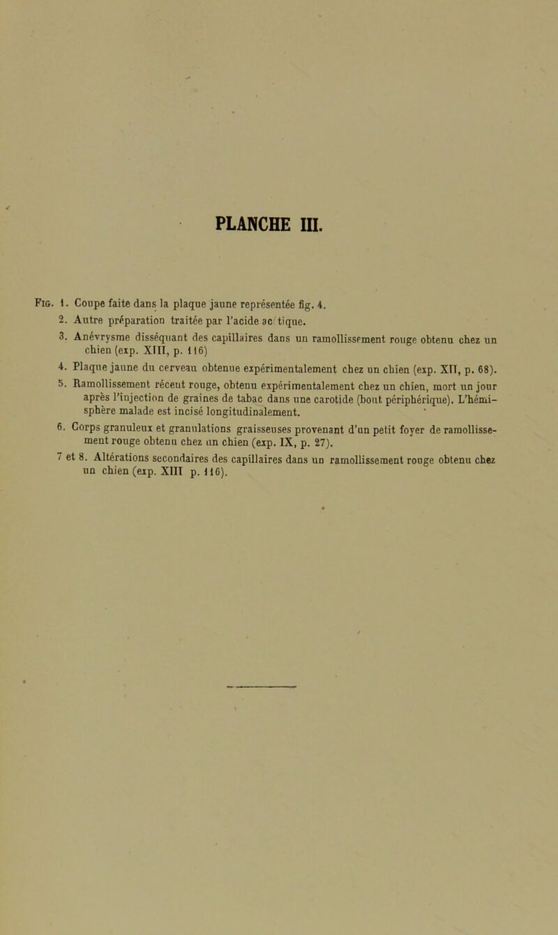 Fig. 1. Coupe faite dans la plaque jaune représentée fig. 4. 2. Autre préparation traitée par l’acide ac tique. 3. Anévrysme disséquant des capillaires dans un ramollissement rouge obtenu chez un chien (exp. XIII, p. 116) 4. Plaque jaune du cerveau obtenue expérimentalement chez un chien (exp. XII, p. 68). 6. Ramollissement réceut rouge, obtenu expérimentalement chez un chien, mort un jour après l’injection de graines de tabac dans une carotide (bout périphérique). L’hémi- sphère malade est incisé longitudinalement. 6. Corps granuleux et granulations graisseuses provenant d’un petit foyer de ramollisse- ment rouge obtenu chez un chien (exp. IX, p. 27). 7 et 8. Altérations secondaires des capillaires dans un ramollissement rouge obtenu chez un chien (eip. XIII p. 116).