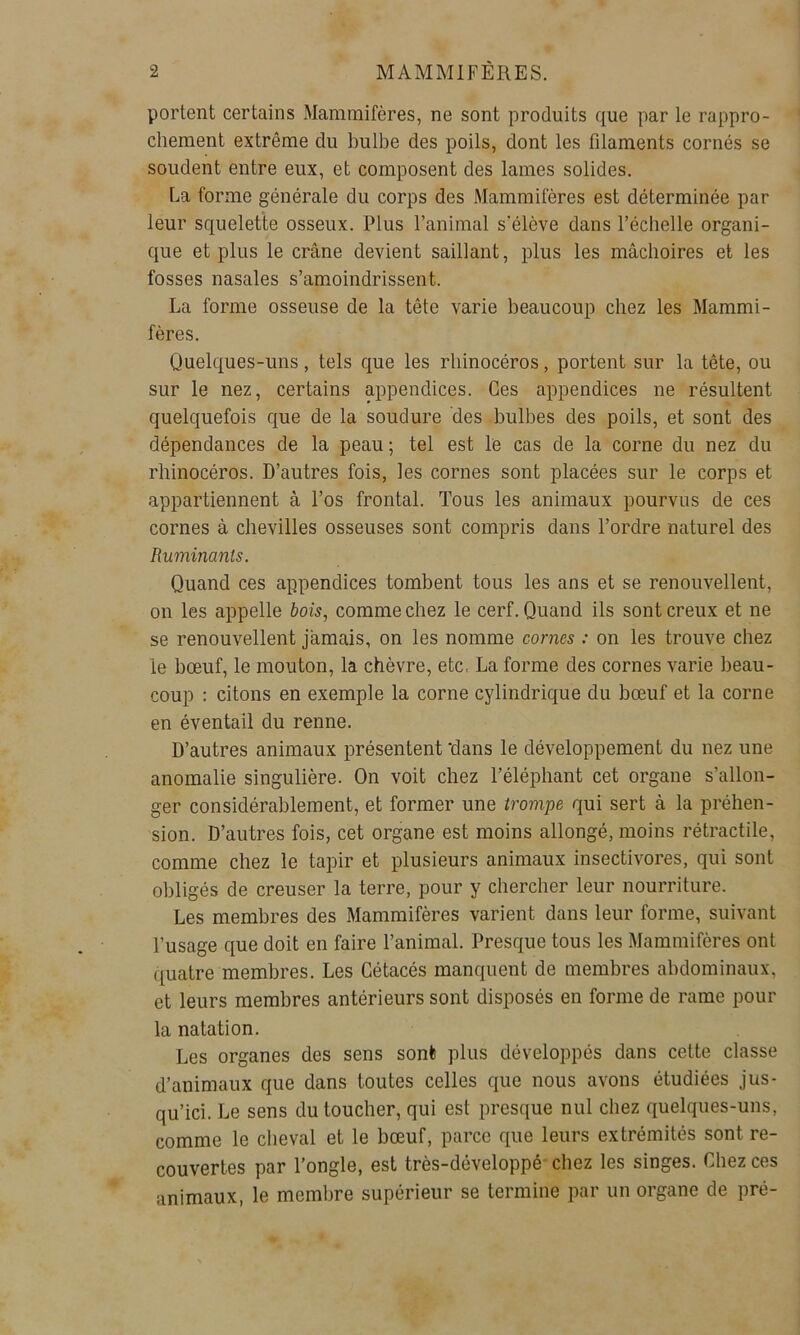 portent certains Mammifères, ne sont produits que par le rappro- chement extrême du bulbe des poils, dont les filaments cornés se soudent entre eux, et composent des lames solides. La forme générale du corps des Mammifères est déterminée par leur squelette osseux. Plus l’animal s’élève dans l’échelle organi- que et plus le crâne devient saillant, plus les mâchoires et les fosses nasales s’amoindrissent. La forme osseuse de la tête varie beaucoup chez les Mammi- fères. Quelques-uns, tels que les rhinocéros, portent sur la tête, ou sur le nez, certains appendices. Ces appendices ne résultent quelquefois que de la soudure des bulbes des poils, et sont des dépendances de la peau ; tel est le cas de la corne du nez du rhinocéros. D’autres fois, les cornes sont placées sur le corps et appartiennent â l’os frontal. Tous les animaux pourvus de ces cornes à chevilles osseuses sont compris dans l’ordre naturel des Ruminants. Quand ces appendices tombent tous les ans et se renouvellent, on les appelle bois, comme chez le cerf. Quand ils sont creux et ne se renouvellent jamais, on les nomme cornes : on les trouve chez le bœuf, le mouton, la chèvre, etc. La forme des cornes varie beau- coup : citons en exemple la corne cylindrique du bœuf et la corne en éventail du renne. D’autres animaux présentent 'dans le développement du nez une anomalie singulière. On voit chez l’éléphant cet organe s’allon- ger considérablement, et former une trompe qui sert â la préhen- sion. D’autres fois, cet organe est moins allongé, moins rétractile, comme chez le tapir et plusieurs animaux insectivores, qui sont obligés de creuser la terre, pour y chercher leur nourriture. Les membres des Mammifères varient dans leur forme, suivant l’usage que doit en faire l’animal. Presque tous les Mammifères ont (juatre membres. Les Cétacés manquent de membres abdominaux, et leurs membres antérieurs sont disposés en forme de rame pour la natation. Les organes des sens sont plus développés dans cette classe d’animaux que dans toutes celles que nous avons étudiées jus- qu’ici. Le sens du toucher, qui est presque nul chez quelques-uns, comme le cheval et le bœuf, parce que leurs extrémités sont re- couvertes par l’ongle, est très-développé chez les singes. Chez ces animaux, le membre supérieur se termine par un organe de pré-