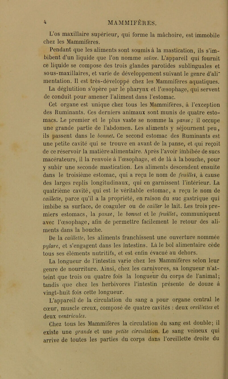 L’os maxillaire supérieur, qui forme la mâchoire, est immobile chez les Mammifères. Pendant que les aliments sont soumis à la mastication, ils s’im- bibent d’un liquide que l’on nomme salive. L’appareil qui fournit ce liquide se compose des trois glandes parotides sublinguales et sous-maxillaires, et varie de développement suivant le genre d’ali' mentation. Il est très-développé chez les Mammifères aquatiques. La déglutition s’opère par le pharynx et l’œsophage, qui servent de conduit pour amener l’aliment dans l’estomac. Cet organe est unique chez tous les Mammifères, à l’exception des Ruminants. Ces derniers animaux sont munis de quatre esto- macs. Le premier et le plus vaste se nomme la 'panse; il occupe une grande partie de l’abdomen. Les aliments y séjournent peu, ils passent dans le bonnet. Ce second estomac des Ruminants est une petite cavité qui se trouve en avant de la panse, et qui reçoit de ce réservoir la matière alimentaire. Après l’avoir iinbibée de sucs macérateurs, il la renvoie à l’œsophage, et de là à la bouche, pour y subir une seconde mastication. Les aliments descendent ensuite dans le troisième estomac, qui a reçu le nom de feuillet, à cause des larges replis longitudinaux, qui en garnissent l’intérieur. La quatrième cavité, qui est le véritable estomac, a reçu le nom de caillette, parce qu’il a la propriété, en raison du suc gastrique qui ; imbibe sa surface, de coaguler ou de cailler le lait. Les trois pre- i miers estomacs, la panse, le bonnet et le feuillet, communiquent i avec l’œsophage, afin de permettre facilement le retour des ali- i ments dans la bouche. De la caillette, les aliments franchissent une ouverture nommée j pylore, et s’engagent dans les intestins. Là le bol alimentaire cède ! tous ses éléments nutritifs, et est enfin évacué au dehors. | La longueur de l’intestin varie chez les Mammifères selon leur > genre de nourriture. Ainsi, chez les carnivores, sa longueur n’at- ^ teint que trois ou quatre fois la longueur du corps de l’animal ; : tandis que chez les herbivores l’intestin présente de douze à vingt-huit fois cette longueur. ; L’appareil de la circulation du sang a pour organe central le cœur, muscle creux, composé de quatre cavités : deux orcilleltes et ' deux ventricules. ■ Chez tous les Mammifères la circulation du sang est double; il existe une grande et une petite circulation. Le sang veineux qui arrive de toutes les parties du corps dans l’oreillette droite du