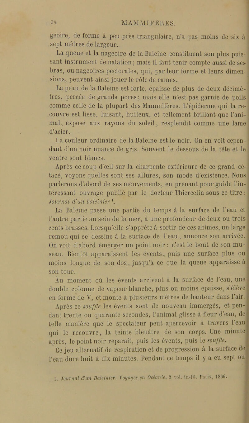 geoirc, de forme à peu près triangulaire, ii’a pas moins de six à sept mètres de largeur. La queue et la nageoire de la Baleine constituent son plus puis- sant instrument de natation; mais il faut tenir compte aussi de ses bras, ou nageoires pectorales, qui, par leur forme et leurs dimen- sions, peuvent ainsi jouer le rôle de rames. La peau de la Baleine est forte, épaisse de plus de deux décimè- tres, percée de grands pores; mais elle n’est pas garnie de poils comme celle de la plupart des Mammifères. L’épiderme qui la re- couvre est lisse, luisant, huileux, et tellement brillant que l’ani- mal, exposé aux rayons du soleil, resplendit comme une lame d’acier. La couleur ordinaire de la Baleine est le noir. On en voit cepen- dant d’un noir nuancé de gris. Souvent le dessous de la tête et le ventre sont blancs. Après ce coup d’œil sur la charpente extérieure de ce grand cé- tacé, voyons quelles sont ses allures, son mode d’existence. Nous parlerons d’abord de ses mouvements, en prenant pour guide l’in- téressant ouvrage publié par le docteur Thiercelin sous ce titre : Journal d’un baleinier'. La Baleine passe une partie du temps à la surface de l’eau et l’autre partie au sein de la mer, à une profondeur de deux ou trois cents brasses. Lorsqu’elle s’apprête à sortir de ces abîmes, un large . remou qui se dessine à la surface de l’eau, annonce son arrivée. ■ On voit d’abord émerger un point noir : c’est le bout de son mu- seau. Bientôt apparaissent les évents, puis une surface plus ou moins longue de son dos, jusqu’à ce que la queue apparaisse à son tour. Au moment où les évents arrivent à la surface de l’eau, une • double colonne de vapeur blanche, plus ou moins épaisse, s'élève ' en forme de V, et monte à plusieurs mètres de hauteur dans l’air. ^ Après ce souffle les évents sont de nouveau immergés, et pen-1 dant trente ou quarante secondes, l’animal glisse à Heur d’eau, de { telle manière que le spectateur peut apercevoir à travers l’eau | (jui le recouvre, la teinte bleuâtre de son corps. Une minuLej après, le point noir reparaît, puis les évents, puis le souffle. î Ce jeu alternatif de respiration et de progression à la surface de' l’eau dure huit à dix minutes. Pendant ce temps il y a eu sept oin^ 1. Journal d'un Mlvinicr. Voyages en Océanie, 1 vol. iu-I8. P.iris, 186ü.