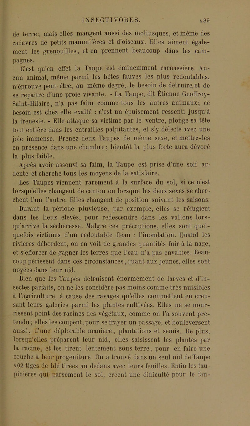 de terre; mais elles mangent aussi des mollusques, et même des cadavres de petits mammifères et d’oiseaux. Elles aiment égale- ment les grenouilles, et en prennent beaucoup dans les cam- pagnes. C’est qu’en effet la Taupe est éminemment carnassière. Au- cun animal, même parmi les bêtes fauves les plus redoutables, n’éprouve peut-être, au même degré, le besoin de détruire.et de se repaître d’une proie vivante. « La Taupe, dit Étienne Geoffroy- Saint-Hilaire, n’a pas faim comme tous les autres animaux; ce besoin est chez elle exalté : c’est un épuisement ressenti jusqu’à la frénésie. » Elle attaque sa victime par le ventre, plonge sa tête tout entière dans les entrailles palpitantes, et s’y délecte avec une joie immense. Prenez deux Taupes de même sexe, et mettez-les en présence dans une chambre ; bientôt la plus forte aura dévoré la plus faible. Après avoir assouvi sa faim, la Taupe est prise d’une soif ar- dente et cherche tous les moyens de la satisfaire. Les Taupes viennent rarement à la surface du sol, si ce n’est lorsqu’elles changent de canton ou lorsque les deux sexes se cher- chent l’un l’autre. Elles changent de position suivant les saisons. Durant la période pluvieuse, par exemple, elles se réfugient dans les lieux élevés, pour redescendre dans les vallons lors- qu’arrive la sécheresse. Malgré ces précautions, elles sont quel- quefois victimes d’un redoutable fléau : l’inondation. Quand les rivières débordent, on en voit de grandes quantités fuir à la nage, et s’efforcer de gagner les terres que l’eau n’a pas envahies. Beau- coup périssent dans ces circonstances ; quant aux jeunes, elles sont noyées dans leur nid. Bien que les Taupes détruisent énormément de larves et d’in- sectes parfaits, on ne les considère pas moins comme très-nuisibles à l’agriculture, à cause des ravages qu’elles commettent en creu- sant leurs galeries parmi les plantes cultivées. Elles ne se nour- rissent point des racines des végétaux, comme on l’a souvent pré- tendu ; elles les coupent, pour se frayer un passage, et bouleversent aussi, d’une déplorable manière, plantations et semis. De plus, lorsqu’elles préparent leur nid, elles saisissent les plantes par la racine, et les tirent lentement sous terre, pour en faire une couche à leur progéniture. On a trouvé dans un seul nid de Taupe 402 tiges de blé tirées au dedans avec leurs feuilles. Enfin les tau- pinières qui parsèment le sol, créent une difficulté pour le fau-