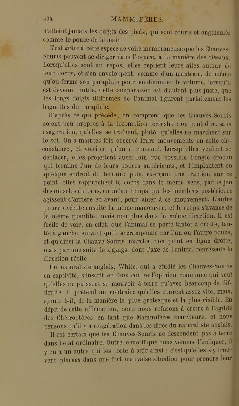 n’atteint jamais les doigts des pieds, qui sont courts et onguiculés comme le pouce de la main. C’est grâce à cette espèce de voile membraneuse que les Chauves- Souris peuvent se diriger dans l’espace, à la manière des oiseaux. Lorsqu’elles sont au repos, elles replient leurs ailes autour de leur corps, et s’en enveloppent, comme d’un manteau, de même qu’on ferme son parapluie pour en diminuer le volume, lorsqu’il est devenu inutile. Cette comparaison est d’autant plus juste, que les longs doigts filiformes de l’animal figurent parfaitement les baguettes du parapluie. D’après ce qui précède, on comprend que les Chauves-Souris soient peu propres à la locomotion terrestre : on peut dire, sans exagération, qu’elles se traînent, plutôt qu’elles ne marchent sur le sol. On a maintes fois observé leurs mouvements en cette cir- constance, et voici ce qu’on a constaté. Lorsqu’elles veulent se déplacer, elles projettent aussi loin que possible l’ongle crochu qui termine l’un de leurs pouces supérieurs, et l’implantent en quelque endroit du terrain; puis, exerçant une traction sur ce _ point, elles rapprochent le corps dans le même sens, par le jeu des muscles du bras, en même temps que les membres postérieurs agissent d’arrière en avant, pour aider à ce mouvement. L’autre pouce exécute ensuite la même manœuvre, et le corps s’avance de la même quantité, mais non plus dans la même direction. Il est facile de voir, en effet, que l’animal se porte tantôt à droite, tan- tôt à gauche, suivant qu’il se cramponne par l’un ou l’autre pouce, et qu’ainsi la Chauve-Souris marche, non point en ligne droite, mais par une suite de zigzags, dont l’axe de l’animal représente la direction réelle. Un naturaliste anglais, White, qui a étudié les Chauves-Souris en captivité, s’inscrit en faux contre l’opinion commune qui veut qu’elles ne puissent se mouvoir à terre qu’avec beaucoup de dif- ficulté. Il prétend au contraire qu’elles courent assez vite, mais, ajoute-t-il, de la manière la plus grotesque et la plus risible. En dépit de cette affirmation, nous nous refusons à croire à l’agilité des Chéiroptères en tant que Mammifères marcheurs, et nous pensons qu’il y a exagération dans les dires du naturaliste anglais. Il est certain que les Chauves-Souris ne descendent pas à terre dans l’état ordinaire. Outre le motif que nous venons d’indiquer, il y en a un autre qui les porte à agir ainsi : c’est qu’elles s’y trou- vent placées dans une fort mauvaise situation pour prendre leur