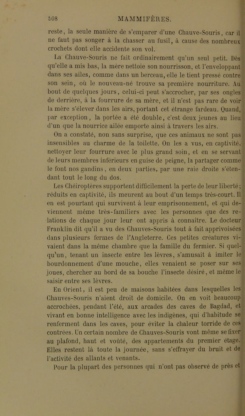 reste, la seule manière de s’emparer d’une Chauve-Souris, car il ne faut pas songer à la chasser au fusil, à cause des nombreux crochets dont elle accidente son vol. La Chauve-Souris ne fait ordinairement qu’un seul petit. Dès qu’elle a mis bas, la mère nettoie son nourrisson, et l’enveloppant dans ses ailes, comme dans un berceau, elle le tient pressé contre son sein, où le nouveau-né trouve sa première nourriture. Au bout de quelques jours, celui-ci peut s’accrocher, par ses ongles de derrière, à la fourrure de sa mère, et il n’est pas rare de voir la mère s’élever dans les airs, portant cet étrange fardeau. Quand, par exception, la portée a été double, c’est deux jeunes au lieu d’un que la nourrice ailée emporte ainsi à travers les airs. On a constaté, non sans surprise, que ces animaux ne sont pas insensibles au charme de la toilette. On les a vus, en captivité, nettoyer leur fourrure avec le plus grand soin, et en se servant de leurs membres inférieurs en guise de peigne, la partager comme le font nos gandins, en deux parties, par une raie droite s’éten- dant tout le long du dos. Les Chéiroptères supportent difficilement la perte de leur liberté ; réduits en captivité, ils meurent au bout d’un temps très-court. Il en est pourtant qui survivent à leur emprisonnement, et qui de- viennent même très-familiers avec les personnes que des re- lations de chaque jour leur ont appris à connaître. Le docteur Franklin dit qu’il a vu des Chauves-Souris tout à fait apprivoisées dans plusieurs fermes de l’Angleterre. Ces petites créatures vi- vaient dans la même chambre que la famille du fermier. Si quel- qu'un , tenant un insecte entre les lèvres, s’amusait à imiter le bourdonnement d’une mouche, elles venaient se poser sur ses joues, chercher au bord de sa bouche l’insecte désiré, et même le saisir entre ses lèvres. En Orient, il est peu de maisons habitées dans lesquelles les Chauves-Souris n’aient droit de domicile. On en voit beaucoup accrochées, pendant l’été, aux arcades des caves de Bagdad, et vivant en bonne intelligence avec les indigènes, qui d’habitude se renferment dans les caves, pour éviter la chaleur torride de ces contrées. Un certain nombre de Chauves-Souris vont même se fixer au plafond, haut et voûté, des appartements du premier étage. Elles restent là toute la journée, sans s’effrayer du bruit et de l’activité des allants et venants. Pour la plupart des personnes qui n’ont pas observé de près et