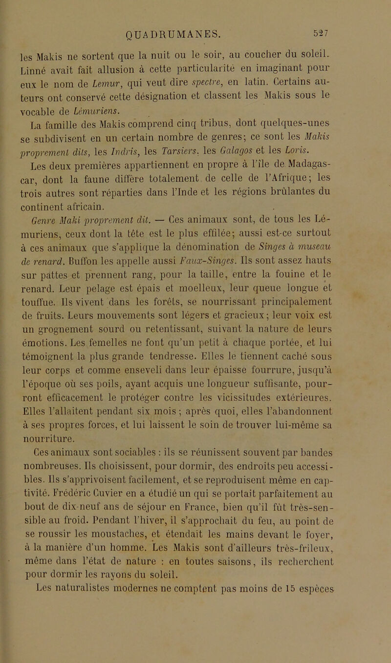 les Makis ne sortent que la nuit ou le soir, au coucher du soleil. Linné avait fait allusion à cette particularité en imaginant pour eux le nom de Lemur, qui veut dire spectre, en latin. Certains au- teurs ont conservé cette désignation et classent les Makis sous le vocable de Lémuriens. La famille des Makis comprend cinq tribus, dont quelques-unes se subdivisent en un certain nombre de genres; ce sont les Makis proprement dits, les Indris, les Tarsiers, les Galagos et les Loris. Les deux premières appartiennent en propre à l’île de. Madagas- car, dont la faune diffère totalement de celle de l’Afrique; les trois autres sont réparties dans l’Inde et les régions brûlantes du continent africain. Genre Maki proprement dit. — Ces animaux sont, de tous les Lé- muriens, ceux dont la tête est le plus effilée; aussi est-ce surtout à ces animaux que s’applique la dénomination de Singes à museau de renard. Buffon les appelle aussi Faux-Singes. Ils sont assez hauts sur pattes et prennent rang, pour la taille, entre la fouine et le renard. Leur pelage est épais et moelleux, leur queue longue et touffue. Ils vivent dans les forêts, se nourrissant principalement de fruits. Leurs mouvements sont légers et gracieux ; leur voix est un grognement sourd ou retentissant, suivant la nature de leurs émotions. Les femelles ne font qu’un petit à chaque portée, et lui témoignent la plus grande tendresse. Elles le tiennent caché sous leur corps et comme enseveli dans leur épaisse fourrure, jusqu’à l’époque où ses poils, ayant acquis une longueur suffisante, pour- ront efficacement le protéger contre les vicissitudes extérieures. Elles l’allaitent pendant six mois ; après quoi, elles l’abandonnent à ses propres forces, et lui laissent le soin de trouver lui-même sa nourriture. Ces animaux sont sociables : ils se réunissent souvent par bandes nombreuses. Ils choisissent, pour dormir, des endroits peu accessi- bles. Ils s’apprivoisent facilement, et se reproduisent même en cap- tivité. Frédéric Cuvier en a étudié un qui se portait parfaitement au bout de dix-neuf ans de séjour en France, bien qu’il fût très-sen- sible au froid. Pendant l’hiver, il s’approchait du feu, au point de se roussir les moustaches, et étendait les mains devant le foyer, à la manière d’un homme. Les Makis sont d’ailleurs très-frileux, même dans l’état de nature : en toutes saisons, ils recherchent pour dormir les rayons du soleil. Les naturalistes modernes ne comptent pas moins de 15 espèces