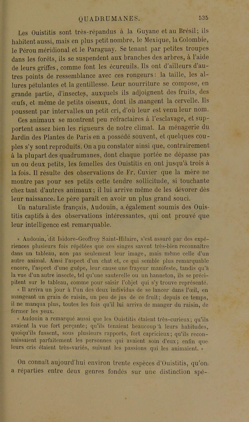 Les Ouistitis sont très-répandus à la Guyane et au Brésil; ils habitent aussi, mais en plus petit nombre, le Mexique, la Colombie, le Pérou méridional et le Paraguay. Se tenant par petites troupes dans les forêts, ils se suspendent aux branches des arbres, à l’aide de leurs griffes, comme font les écureuils. Ils ont d ailleurs dau- tres points de ressemblance avec ces rongeurs: la taille, les al- lures pétulantes et la gentillesse. Leur nourriture se compose, en grande partie, d’insectes, auxquels ils adjoignent des fruits, des œufs, et même de petits oiseaux, dont ils mangent la cervelle. Ils poussent par intervalles un petit cri, d’où leur est venu leur nom. Ces animaux se montrent peu réfractaires à l’esclavage, et sup- portent assez bien les rigueurs de notre climat. La ménagerie du Jardin des Plantes de Paris en a possédé souvent, et quelques cou- ples s’y sont reproduits. On a pu constater ainsi que, contrairement à la plupart des quadrumanes, dont chaque portée ne dépasse pas un ou deux petits, les femelles des Ouistitis en ont jusqu’à trois à la fois. Il résulte des observations de Fr. Cuvier que la mère ne montre pas pour ses petits cette tendre sollicitude, si touchante chez tant d’autres animaux ; il lui arrive même de les dévorer dès leur naissance. Le père paraît en avoir un plus grand souci. Un naturaliste français, Audouin, a. également soumis des Ouis- titis captifs à des observations intéressantes, qui ont prouvé que leur intelligence est remarquable. a Audouin, dit Isidore-Geoffroy Saint-Hilaire, s’est assuré par des expé- riences plusieurs fois répétées que ces singes savent très-bien reconnaître dans un tableau, non pas seulement leur image, mais même celle d’un autre animal. Ainsi l’aspect d’un chat et, ce qui semble plus remarquable encore, l’aspect d’une guêpe, leur cause une frayeur manifeste, tandis qu’à la vue d’un autre insecte, tel qu’une sauterelle ou un hanneton, ils se préci- pitent sur le tableau, comme pour saisir l’objet qui s’y trouve représenté. « Il arriva un jour à l’un des deux individus de se lancer dans l’œil, en mangeant un grain de raisin, un peu de jus de ce fruit; depuis ce temps, il ne manqua plus, toutes les fois qu’il lui arriva de manger du raisin, de fermer les yeux. « Audouin a remarqué aussi que les Ouistitis étaient très-curieux; qu’ils avaient la vue fort perçante; qu’ils tenaient beaucoup'à leurs habitudes,, quoiqu’ils fussent, sous plusieurs rapports, fort capricieux; qu’ils recon- naissaient parfaitement les personnes qui avaient soin d’eux; enfin que leurs cris étaient très-variés, suivant les passions qui les animaient. » On connaît aujourd’hui environ trente espèces d’Ouistitis, qu’on a réparties entre deux genres fondés sur une distinction spé-