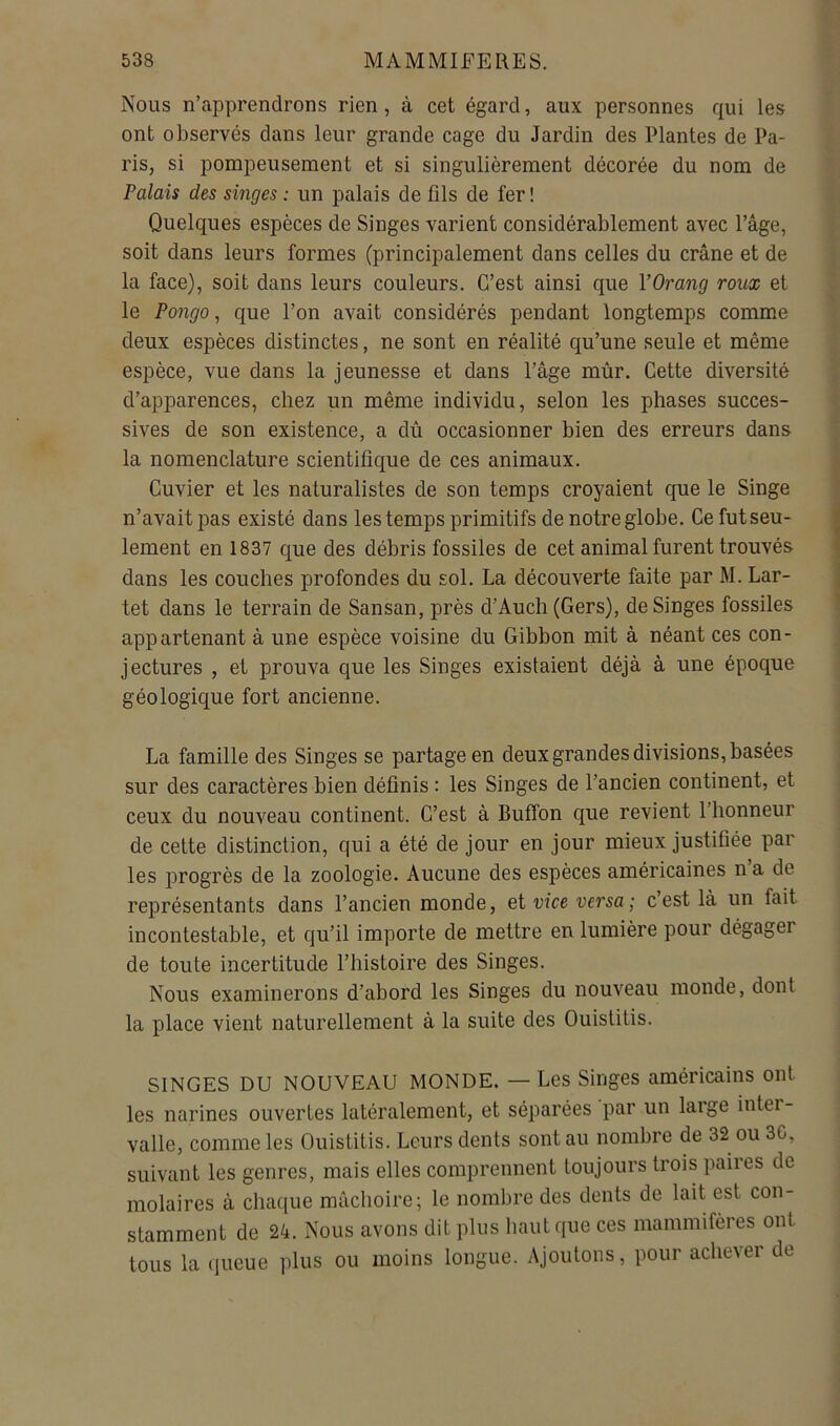 Nous n’apprendrons rien, à cet égard, aux personnes qui les ont observés dans leur grande cage du Jardin des Plantes de Pa- ris, si pompeusement et si singulièrement décorée du nom de Falais des singes : un palais de fils de fer ! Quelques espèces de Singes varient considérablement avec l’âge, soit dans leurs formes (principalement dans celles du crâne et de la face), soit dans leurs couleurs. C’est ainsi que YOrang roux et le Pongo, que l’on avait considérés pendant longtemps comme deux espèces distinctes, ne sont en réalité qu’une seule et même espèce, vue dans la jeunesse et dans l’âge mûr. Cette diversité d’apparences, chez un même individu, selon les phases succes- sives de son existence, a dû occasionner bien des erreurs dans la nomenclature scientifique de ces animaux. Cuvier et les naturalistes de son temps croyaient que le Singe n’avait pas existé dans les temps primitifs de notre globe. Ce futseu- lement en 1837 que des débris fossiles de cet animal furent trouvés dans les couches profondes du sol. La découverte faite par M. Lar- tet dans le terrain de Sansan, près d’Auch (Gers), de Singes fossiles appartenant à une espèce voisine du Gibbon mit à néant ces con- jectures , et prouva que les Singes existaient déjà à une époque géologique fort ancienne. La famille des Singes se partage en deux grandes divisions, basées sur des caractères bien définis : les Singes de l’ancien continent, et ceux du nouveau continent. C’est à Buffon que revient l’honneur de cette distinction, qui a été de jour en jour mieux justifiée par les progrès de la zoologie. Aucune des espèces américaines n a de représentants dans l’ancien monde, et vice versa ; c’est là un fait incontestable, et qu’il importe de mettre en lumière pour dégager de toute incertitude l’histoire des Singes. Nous examinerons d’abord les Singes du nouveau monde, dont la place vient naturellement à la suite des Ouistitis. SINGES DU NOUVEAU MONDE. — Les Singes américains ont les narines ouvertes latéralement, et séparées par un large intei- valle, comme les Ouistitis. Leurs dents sont au nombre de 32 ou 3G, suivant les genres, mais elles comprennent toujours trois paiies de molaires à chaque mâchoire; le nombre des dents de lait est con- stamment de 24. Nous avons dit plus haut que ces mammifères ont tous la queue plus ou moins longue. Ajoutons, pour achever de