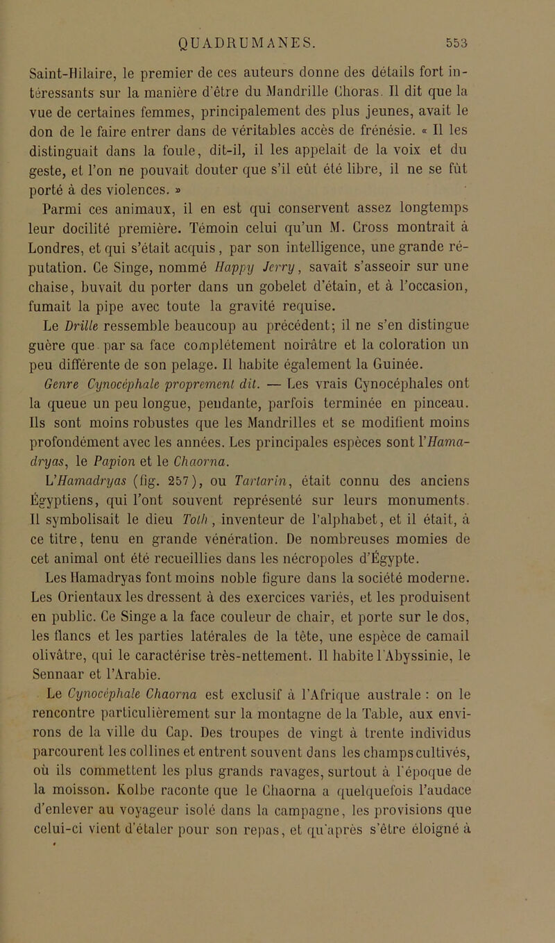 Saint-Uilaire, le premier de ces auteurs donne des détails fort in- téressants sur la manière d’être du Mandrille Ohoras. Il dit que la vue de certaines femmes, principalement des plus jeunes, avait le don de le faire entrer dans de véritables accès de frénésie. « Il les distinguait dans la foule, dit-il, il les appelait de la voix et du geste, et l’on ne pouvait douter que s’il eût été libre, il ne se fût porté à des violences. » Parmi ces animaux, il en est qui conservent assez longtemps leur docilité première. Témoin celui qu’un M. Cross montrait à Londres, et qui s’était acquis, par son intelligence, une grande ré- putation. Ce Singe, nommé Happy Jcrry, savait s’asseoir sur une chaise, buvait du porter dans un gobelet d’étain, et à l’occasion, fumait la pipe avec toute la gravité requise. Le Drille ressemble beaucoup au précédent; il ne s’en distingue guère que par sa face complètement noirâtre et la coloration un peu différente de son pelage. Il habite également la Guinée. Genre Cynocéphale proprement dit. — Les vrais Cynocéphales ont la queue un peu longue, pendante, parfois terminée en pinceau. Ils sont moins robustes que les Mandrilles et se modifient moins profondément avec les années. Les principales espèces sont VHama- dryas^ le Papion et le Chaorna. L’Hamadryas (fig. 257), ou Tartarin, était connu des anciens Égyptiens, qui l’ont souvent représenté sur leurs monuments. Il symbolisait le dieu Toth, inventeur de l’alphabet, et il était, à ce titre, tenu en grande vénération. De nombreuses momies de cet animal ont été recueillies dans les nécropoles d’Égypte. Les Hamadryas font moins noble figure dans la société moderne. Les Orientaux les dressent à des exercices variés, et les produisent en public. Ce Singe a la face couleur de chair, et porte sur le dos, les flancs et les parties latérales de la tête, une espèce de camail olivâtre, qui le caractérise très-nettement. Il habite l’Abyssinie, le Sennaar et l’Arabie. Le Cynocéphale Chaorna est exclusif â l’Afrique australe : on le rencontre particulièrement sur la montagne de la Table, aux envi- rons de la ville du Cap. Des troupes de vingt à trente individus parcourent les collines et entrent souvent dans les champs cultivés, où ils commettent les plus grands ravages, surtout à l’époque de la moisson. Kolbe raconte que le Chaorna a quelquefois l’audace d’enlever au voyageur isolé dans la campagne, les provisions que celui-ci vient d’étaler pour son repas, et qu'après s’être éloigné à