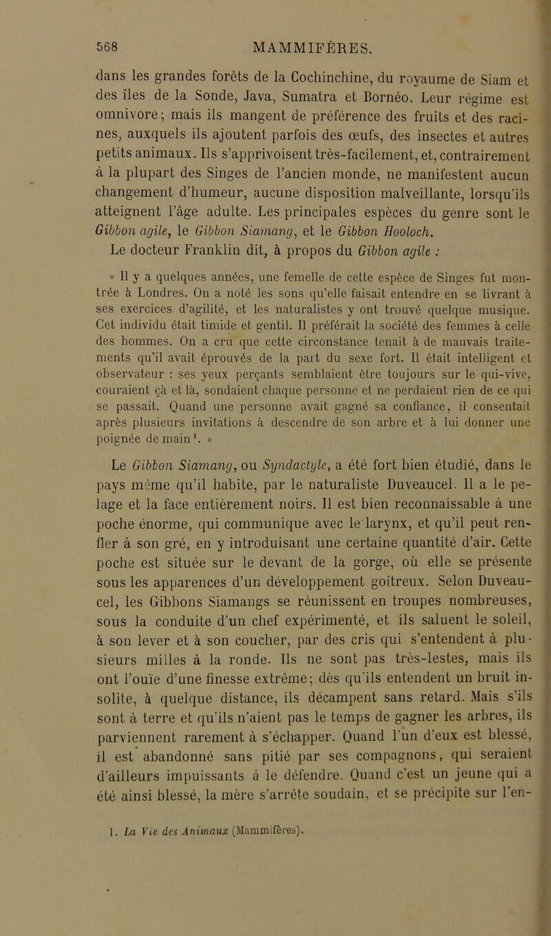 dans les grandes forêts de la Cochinchine, du royaume de Siam et des îles de la Sonde, Java, Sumatra et Bornéo. Leur régime est omnivore ; mais ils mangent de préférence des fruits et des raci- nes, auxquels ils ajoutent parfois des œufs, des insectes et autres petits animaux. Ils s’apprivoisent très-facilement, et, contrairement à la plupart des Singes de l’ancien monde, ne manifestent aucun changement d’humeur, aucune disposition malveillante, lorsqu’ils atteignent l’âge adulte. Les principales espèces du genre sont le Gibbon agile, le Gibbon Siamang, et le Gibbon Hooloch. Le docteur Franklin dit, à propos du Gibbon agile : « H y a quelques années, une femelle de cette espèce de Singes fut mon- trée à Londres. On a noté les sons qu’elle faisait entendre en se livrant à ses exercices d’agilité, et les naturalistes y ont trouvé quelque musique. Cet individu était timide et gentil. Il préférait la société des femmes à celle des hommes. On a cru que cette circonstance tenait à de mauvais traite- ments qu’il avait éprouvés de la part du sexe fort. Il était intelligent et observateur : ses yeux perçants semblaient être toujours sur le qui-vive, couraient çà et là, sondaient chaque personne et ne perdaient rien de ce qui se passait. Quand une personne avait gagné sa confiance, il consentait après plusieurs invitations à descendre de son arbre et à lui donner une poignée de main '. » Le Gibbon Siamang, ou Syndaclyle, a été fort bien étudié, dans le pays même qu’il habite, par le naturaliste Duveaucel. Il a le pe- lage et la face entièrement noirs. Il est bien reconnaissable à une poche énorme, qui communique avec le larynx, et qu’il peut ren- fler à son gré, en y introduisant une certaine quantité d’air. Cette poche est située sur le devant de la gorge, où elle se présente sous les apparences d’un développement goitreux. Selon Duveau- cel, les Gibbons Siamangs se réunissent en troupes nombreuses, sous la conduite d’un chef expérimenté, et ils saluent le soleil, à son lever et à son coucher, par des cris qui s’entendent à plu- sieurs milles à la ronde. Ils ne sont pas très-lestes, mais ils ont l’ouïe d’une finesse extrême; dès qu'ils entendent un bruit in- solite, à quelque distance, ils décampent sans retard. Mais s’ils sont à terre et qu’ils n’aient pas le temps de gagner les arbres, ils parviennent rarement à s’échapper. Quand l’un d’eux est blessé, il est abandonné sans pitié par ses compagnons, qui seraient d’ailleurs impuissants à le défendre. Quand c’est un jeune qui a été ainsi blessé, la mère s’arrête soudain, et se précipite sur l’en- I. La Vie des vlnimaux (Mammifères).