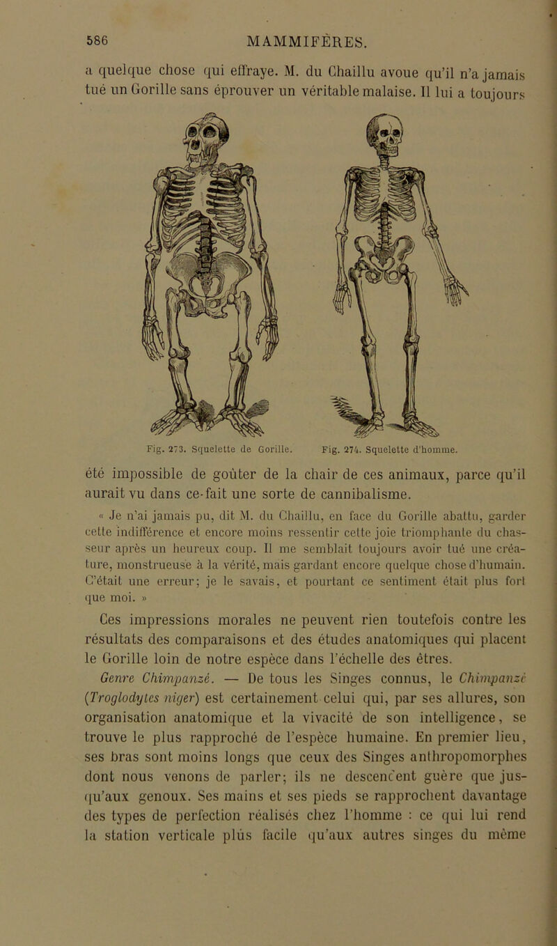 a quelque chose qui elïraye. M. du Ghaillu avoue qu’il n’a jamais tué un Gorille sans éprouver un véritable malaise. Il lui a toujours Fig. 273. Squelette de Gorille. Fig. 274. Squelette d’homme. été impossible de goûter de la chair de ces animaux, parce qu’il aurait vu dans ce-fait une sorte de cannibalisme. « Je n’ai jamais pu, dit M. du Ghaillu, en face du Gorille abattu, garder cette indifférence et encore moins ressentir cette joie triomphante du chas- seur après un heureu.x coup. Il me semblait toujours avoir tué une créa- ture, monstrueuse à la vérité, mais gardant encore quelque chose d’humain. C’était une erreur; je le savais, et pourtant ce sentiment était plus fort que moi. » Ces impressions morales ne peuvent rien toutefois contre les résultats des comparaisons et des études anatomiques qui placent le Gorille loin de notre espèce dans l’échelle des êtres. Genre Chimpanzé. — De tous les Singes connus, le Chimpanzé {Troglodylcs nicjer) est certainement celui qui, par ses allures, son organisation anatomique et la vivacité de son intelligence, se trouve le plus rapproché de l’espèce humaine. En premier lieu, ses bras sont moins longs que ceux des Singes anthropomorphes dont nous venons de parler; ils ne descencent guère que jus- ([u’aux genoux. Ses mains et ses pieds se rapprochent davantage des types de perfection réalisés chez l’homme ; ce qui lui rend la station verticale plus facile qu’aux autres singes du même