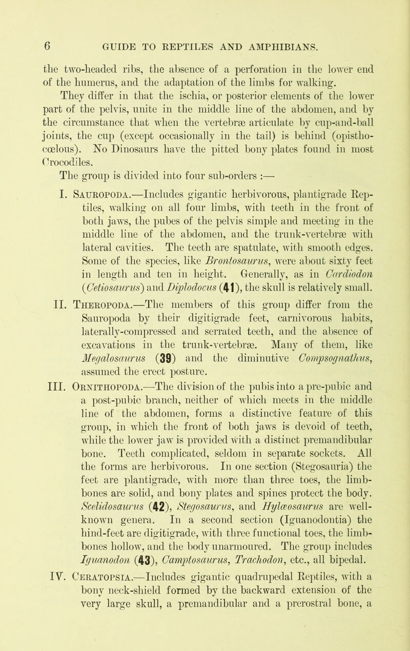 the two-headed ribs, the absence of a perforation in the lower end of the humerus, and the adaptation of the limbs for walking. They differ in that the ischia, or posterior elements of the lower part of the pelvis, unite in the middle line of the abdomen, and by the circumstance that when the vertebrae articulate by cup-and-ball joints, the cup (except occasionally in the tail) is behind (opistlio- coelous). No Dinosaurs have the pitted bony plates found in most Crocodiles. The group is divided into four sub-orders :— I. Sauropoda.—Includes gigantic herbivorous, plantigrade Rep- tiles, walking on all four limbs, with teeth in the front of both jaws, the pubes of the pelvis simple and meeting in the middle line of the abdomen, and the trunk-vertebrae with lateral cavities. The teeth are spatulate, with smooth edges. Some of the species, like Brontosaurus, were about sixty feet in length and ten in height. Generally, as in Cardiodon (Getiosaurus) and Diplodocus (41), the skull is relatively small. II. Theropoda.—The members of this group differ from the Sauropoda by their digitigrade feet, carnivorous habits, laterally-compressed and serrated teeth, and the absence of excavations in the trunk-vertebrae. Many of them, like Megalosaurus (39) and the diminutive Gompsognathus, assumed the erect posture. III. Ornithopoda.—The division of the pubis into apre-pubic and a post-pubic branch, neither of which meets in the middle line of the abdomen, forms a distinctive feature of this group, in which the front of both jaws is devoid of teeth, while the lower jaw is provided with a distinct premandibular bone. Teeth complicated, seldom in separate sockets. All the forms are herbivorous. In one section (Stegosauria) the feet are plantigrade, with more than three toes, the limb- bones are solid, and bony plates and spines protect the body. Scelidosaurus (42), Stegosaurus, and Hylceosaurus are well- known genera. In a second section (Iguanodontia) the hind-feet are digitigrade, with three functional toes, the limb- bones hollow, and the body unarmonred. The group includes Iguanodon (43), Gamptosaurus, Trachodon, etc., all bipedal. IV. Ceratopsia.'—Includes gigantic quadrupedal Reptiles, with a bony neck-shield formed by the backward extension of the very large skull, a premandibular and a prerostral bone, a