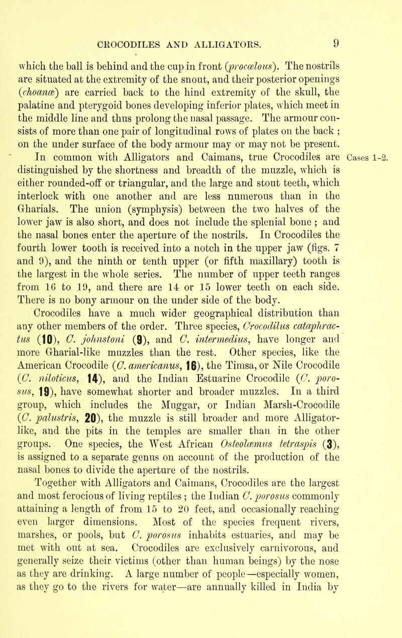 which the ball is behind and the cup in front (procoelous). The nostrils are situated at the extremity of the snout, and their posterior openings (choance) are carried back to the hind extremity of the skull, the palatine and pterygoid bones developing inferior plates, which meet in the middle line and thus prolong the nasal passage. The armour con- sists of more than one pair of longitudinal rows of plates on the back ; on the under surface of the body armour may or may not be present. In common with Alligators and Caimans, true Crocodiles are Cases l distinguished by the shortness and breadth of the muzzle, which is either rounded-off or triangular, and the large and stout teeth, which interlock with one another and are less numerous than in the G-harials. The union (symphysis) between the two halves of the lower jaw is also short, and does not include the splenial bone ; and the nasal bones enter the aperture of the nostrils. In Crocodiles the fourth lower tooth is received into a notch in the upper jaw (figs. 7 and 9), and the ninth or tenth upper (or fifth maxillary) tooth is the largest in the whole series. The number of upper teeth ranges from 16 to 19, and there are 14 or 15 lower teeth on each side. There is no bony armour on the under side of the body. Crocodiles have a much wider geographical distribution than any other members of the order. Three species, Grocodilus cataphrac- tus (10), G. johnstoni (9), and G. intermedins, have longer and more Grharial-like muzzles than the rest. Other species, like the American Crocodile (G.americanus, 16), the Timsa, or Nile Crocodile (G. niloticus, 14), and the Indian Estuarine Crocodile (G. poro- sus, 19), have somewhat shorter and broader muzzles. In a third group, which includes the Muggar, or Indian Marsh-Crocodile (G. palustris, 20), the muzzle is still broader and more Alligator- like, and the pits in the temples are smaller than in the other groups. One species, the West African Osteolcemus tetraspis (3), is assigned to a separate genus on account of the production of the nasal bones to divide the aperture of the nostrils. Together with Alligators and Caimans, Crocodiles are the largest and most ferocious of living reptiles ; the Indian C. porosus commonly attaining a length of from 15 to 20 feet, and occasionally reaching even larger dimensions. Most of the species frequent rivers, marshes, or pools, but G. porosus inhabits estuaries, and may be met with out at sea. Crocodiles are exclusively carnivorous, and generally seize their victims (other than human beings) by the nose as they are drinking. A large number of people—especially women, as they go to the rivers for water—are annually killed in India by