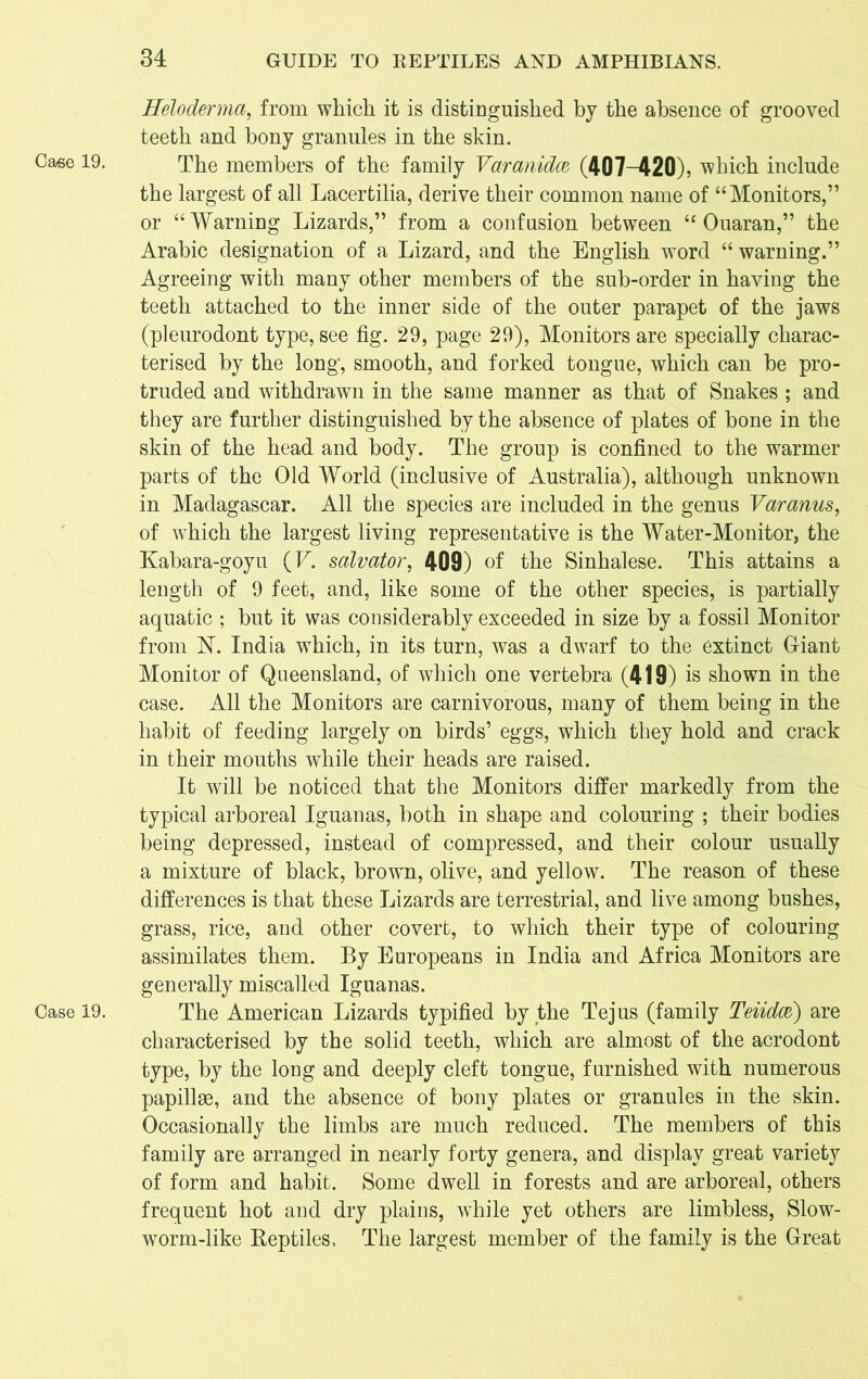 Case 19. Case 19. Heloderma, from which it is distinguished by the absence of grooved teeth and bony granules in the skin. The members of the family Varanidm (407-420), which include the largest of all Lacertilia, derive their common name of “Monitors,” or “ Warning Lizards,” from a confusion between “ Ouaran,” the Arabic designation of a Lizard, and the English word “ warning.” Agreeing with many other members of the sub-order in having the teeth attached to the inner side of the outer parapet of the jaws (pleurodont type, see fig. 29, page 29), Monitors are specially charac- terised by the long, smooth, and forked tongue, which can be pro- truded and withdrawn in the same manner as that of Snakes ; and they are further distinguished by the absence of plates of bone in the skin of the head and body. The group is confined to the warmer parts of the Old World (inclusive of Australia), although unknown in Madagascar. All the species are included in the genus Varanus, of which the largest living representative is the Water-Monitor, the Kabara-goyu (F. salvator, 409) of the Sinhalese. This attains a length of 9 feet, and, like some of the other species, is partially aquatic ; but it was considerably exceeded in size by a fossil Monitor from N. India which, in its turn, was a dwarf to the extinct Giant Monitor of Queensland, of which one vertebra (419) is shown in the case. All the Monitors are carnivorous, many of them being in the habit of feeding largely on birds’ eggs, which they hold and crack in their mouths while their heads are raised. It will be noticed that the Monitors differ markedly from the typical arboreal Iguanas, both in shape and colouring ; their bodies being depressed, instead of compressed, and their colour usually a mixture of black, brown, olive, and yellow. The reason of these differences is that these Lizards are terrestrial, and live among bushes, grass, rice, and other covert, to which their type of colouring assimilates them. By Europeans in India and Africa Monitors are generally miscalled Iguanas. The American Lizards typified by the Tejus (family Teiidcd) are characterised by the solid teeth, which are almost of the acrodont type, by the long and deeply cleft tongue, furnished with numerous papillae, and the absence of bony plates or granules in the skin. Occasionally the limbs are much reduced. The members of this family are arranged in nearly forty genera, and display great variety of form and habit. Some dwell in forests and are arboreal, others frequent hot and dry plains, while yet others are limbless, Slow- worm-like Beptiles, The largest member of the family is the Great