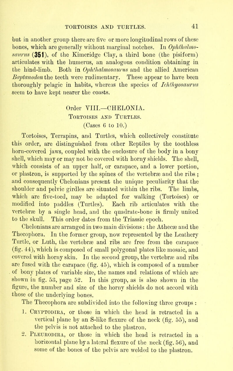 but in another group there are five or more longitudinal rows of these bones, which are generally without marginal notches. In Ophthalmo- sciurus (351), of the Kimeridge Clay, a third bone (the pisiform) articulates with the humerus, an analogous condition obtaining in the hind-limb. Both in Ophthalmosaurus and the allied American Bciptanodon the teeth were rudimentary. These appear to have been thoroughly pelagic in habits, whereas the species of Ichthyosaurus seem to have kept nearer the coasts. Order VIII.—CHELONIA. Tortoises and Turtles. (Cases 6 to 10.) Tortoises, Terrapins, and Turtles, which collectively constitute this order, are distinguished from other Reptiles by the toothless horn-covered jaws, coupled with the enclosure of the body in a bony shell, which may or may not be covered with horny shields. The shell, which consists of an upper half, or carapace, and a lower portion, or plastron, is supported by the spines of the vertebrae and the ribs ; and consequently Chelonians present the unique peculiarity that the shoulder and pelvic girdles are situated within the ribs. The limbs, which are five-toed, may be adapted for walking (Tortoises) or modified into paddles (Turtles). Each rib articulates wTith the vertebrae by a single head, and the quadrate-bone is firmly united to the skull. This order dates from the Triassic epoch. Chelonians are arranged in two main divisions: the Athecae and the Thecophora. In the former group, now represented by the Leathery Turtle, or Luth, the vertebrae and ribs are free from the carapace (fig. 44), which is composed of small polygonal plates like mosaic, and covered with horny skin. In the second group, the vertebrae and ribs are fused with the carapace (fig. 45), which is composed of a number of bony plates of variable size, the names and relations of which are shown in fig. 53, page 52. In this group, as is also shown in the figure, the number and size of the horny shields do not accord with those of the underlying bones. The Thecophora are subdivided into the following three groups : 1. Cryptodira, or those in which the head is retracted in a vertical plane by an S-like flexure of the neck (fig. 55), and the pelvis is not attached to the plastron. 2. Pleurodira, or those in which the head is retracted in a horizontal plane by a lateral flexure of the neck (fig. 56), and some of the bones of the pelvis are welded to the plastron.