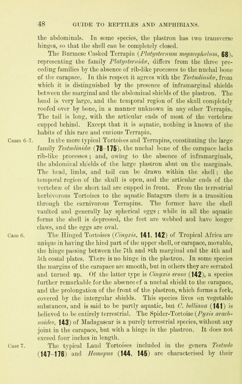 the abdominals. In some species, the plastron has two transverse hinges, so that the shell can be completely closed. The Burmese Cashed Terrapin (Platijsternum megacephalum, 68), representing the family Platysternidco, differs from the three pre- ceding families by the absence of rib-like processes to the nuchal bone of the carapace. In this respect it agrees with the Testudinidce, from which it is distinguished by the presence of inframarginal shields between the marginal and the abdominal shields of the plastron. The head is very large, and the temporal region of the skull completely roofed over by bone, in a manner unknown in any other Terrapin. The tail is long, with the articular ends of most of the vertebras cupped behind. Except that it is aquatic, nothing is known of the habits of this rare and curious Terrapin. Cases 6-7. In the more typical Tortoises and Terrapins, constituting the large family Testudinidce (78-175), the nuchal bone of the carapace lacks rib-like processes; and, owing to the absence of inframarginals, the abdominal shields of the large plastron abut on the marginals. The head, limbs, and tail can be drawn within the shell; the temporal region of the skull is open, and the articular ends of the vertebrae of the short tail are cupped in front. From the terrestrial herbivorous Tortoises to the aquatic Batagurs there is a transition through the carnivorous Terrapins. The former have the shell vaulted and generally lay spherical eggs ; while in all the aquatic forms the shell is depressed, the feet are webbed and have longer claws, and the eggs are oval. Case 6. The Hinged Tortoises (■Ginyxis, 141, 142) of Tropical Africa are unique in having the hind part of the upper shell, or carapace, movable, the hinge passing between the 7th and 8th marginal and the 4th and 5th costal plates. There is no hinge in the plastron. In some species the margins of the carapace are smooth, but in others they are serrated and turned up. Of the latter type is Ginyxis erosci (142), a species further remarkable for the absence of a nuchal shield to the carapace, and the prolongation of the front of the plastron, which forms a fork, covered by the intergular shields. This species lives on vegetable substances, and is said to be partly aquatic, but G. belliana (141) is believed to be entirely terrestrial. The Spider-Tortoise {Pyxis arach- noides, 143) of Madagascar is a purely terrestrial species, without any joint in the carapace, but with a hinge in the plastron. It does not exceed four inches in length. Case 7. The typical Land Tortoises included in the genera Testudo (147-176) and Homopus (144, 145) are characterised by their