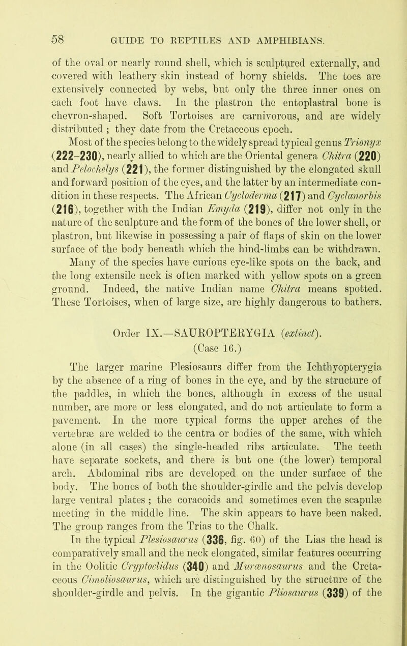 of the oval or nearly round shell, which is sculptured externally, and covered with leathery skin instead of horny shields. The toes are extensively connected by webs, but only the three inner ones on each foot have claws. In the plastron the entoplastral bone is chevron-shaped. Soft Tortoises are carnivorous, and are widely distributed ; they date from the Cretaceous epoch. Most of the species belong to the widely spread typical genus Trionyx (222-230), nearly allied to which are the Oriental genera Chitra (220) and Pelochelys (221), the former distinguished by the elongated skull and forward position of the eyes, and the latter by an intermediate con- dition in these respects. The African Cycloderma (217) and Cyclanorlis (216), together with the Indian Emyda (219), differ not only in the nature of the sculpture and the form of the bones of the lower shell, or plastron, but likewise in possessing a pair of flaps of skin on the lower surface of the body beneath which the hind-limbs can be withdrawn. Many of the species have curious eye-like spots on the back, and the long extensile neck is often marked with yellow spots on a green ground. Indeed, the native Indian name Chitra means spotted. These Tortoises, when of large size, are highly dangerous to bathers. Order IX.—SAUROPTEPYGIA (extinct). (Case 16.) The larger marine Plesiosaurs differ from the Ichthyopterygia by the absence of a ring of bones in the eye, and by the structure of the paddles, in which the bones, although in excess of the usual number, are more or less elongated, and do not articulate to form a pavement. In the more typical forms the upper arches of the vertebrae are welded to the centra or bodies of the same, with which alone (in all cases) the single-headed ribs articulate. The teeth have separate sockets, and there is but one (the lower) temporal arch. Abdominal ribs are developed on the under surface of the body. The bones of both the shoulder-girdle and the pelvis develop large ventral plates ; the coracoids and sometimes even the scapulae meeting in the middle line. The skin appears to have been naked. The group ranges from the Trias to the Chalk. In the typical Plesiosaurus (336, fig. 60) of the Lias the head is comparatively small and the neck elongated, similar features occurring in the Oolitic Cryptoclidus (340) and Murcenosaurus and the Creta- ceous Cimoliosaurus, which are distinguished by the structure of the shoulder-girdle and pelvis. In the gigantic Pliosaurus (339) of the