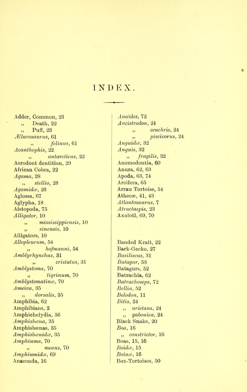 INDEX. Adder, Common, 23 „ Death, 22 „ Puff, 23 AElurosaurus, 61 ,, felinus, 61 Acanthophis, 22 „ antarcticus, 22 Acrodont dentition, 29 African Cobra, 22 Agama, 28 ,, stellio, 28 Agamidce, 28 Aglossa, 67 Aglypha, 18 Aistopoda, 75 Alligator, 10 „ mississippiensis, 10 „ sinensis, 10 Alligators, 10 Allopleurum, 54 ,, hofmanni, 54 Amblyrhynchus, 31 ,, cristatus, 31 Amblystoma, 70 „ tigrinum, 70 Amblystomatince, 70 Ameiva, 35 ,, dorsalis, 35 Amphibia, 62 Amphibians, 2 Amphichelydia, 56 Amphisbcena, 35 Amphisbsenas, 35 Amphisbcenidce, 35 Amphiuma, 70 „ means, 70 Amphiumidce, 69 Anaconda, 16 Anaides, 72 Ancistrodon, 24 „ cenchris, 24 „ piscivorus, 24 Anguidce, 32 Anguis, 32 ,, fragilis, 32 Anomodontia, 60 Anura, 62, 63 Apoda, 63, 74 Arcifera, 65 Arran Tortoise, 54 Athecse, 41, 43 Atlantosaurus, 7 Atractaspis, 23 Axolotl, 69, 70 Banded Krait, 22 Bark-Gecko, 27 Basiliscus, 31 Balagur, 53 Batagnrs, 52 Batrachia, 62 Batrachoseps, 72 Bellia, 52 Belodon, 11 Bitis, 24 ,, arietans, 24 ,, gabonica, 24 Black Snake, 20 Boa, 16 „ constrictor, 16 Boas, 15, 16 Boidce, 15 Boince, 16 Box-Tortoises, 50