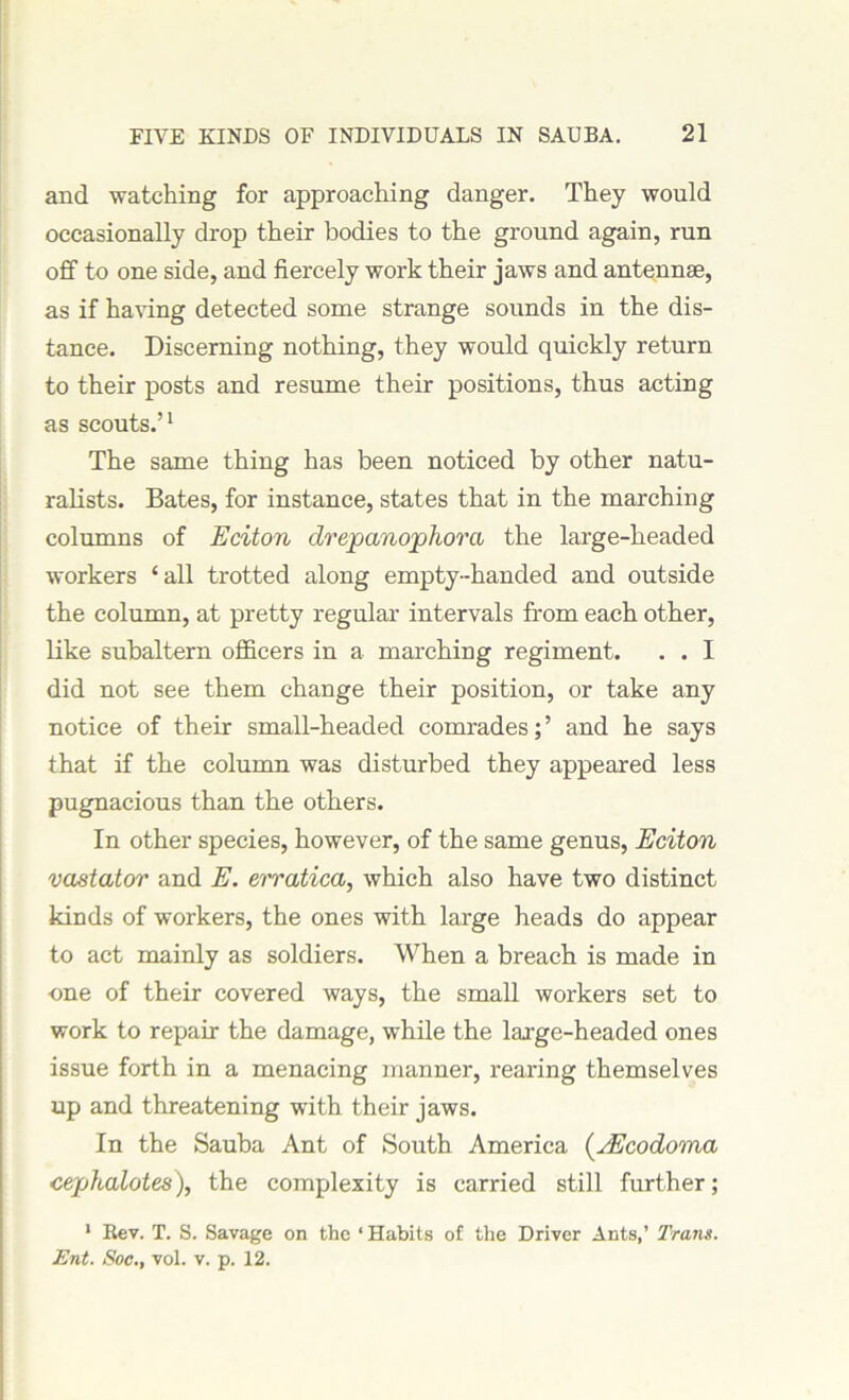 and watching for approaching danger. They would occasionally drop their bodies to the ground again, run off to one side, and fiercely work their jaws and antennae, as if having detected some strange sounds in the dis- tance. Discerning nothing, they would quickly return to their posts and resume their positions, thus acting as scouts.’1 The same thing has been noticed by other natu- ralists. Bates, for instance, states that in the marching columns of Eciton drepanophora the large-headed workers ‘all trotted along empty-handed and outside the column, at pretty regular intervals from each other, like subaltern officers in a marching regiment. . . I did not see them change their position, or take any notice of their small-headed comrades; ’ and he says that if the column was disturbed they appeared less pugnacious than the others. In other species, however, of the same genus, Eciton vastator and E. erratica, which also have two distinct kinds of workers, the ones with large heads do appear to act mainly as soldiers. When a breach is made in •one of their covered ways, the small workers set to work to repair the damage, while the large-headed ones issue forth in a menacing manner, rearing themselves up and threatening with their jaws. In the Sauba Ant of South America (EEcodoma cephalotes), the complexity is carried still further; 1 Rev. T. S. Savage on the ‘ Habits of the Driver Ants,’ Trans. Ent. Soc., vol. v. p. 12.
