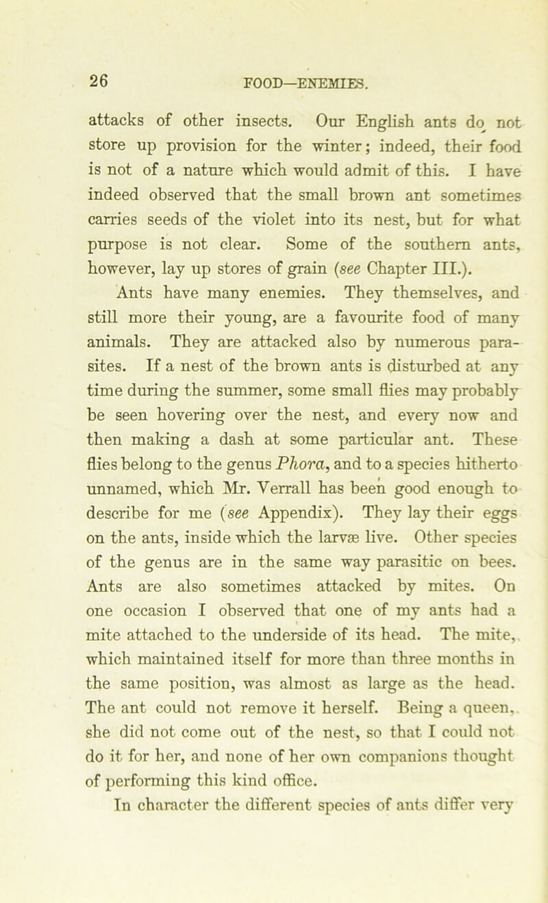 attacks of other insects. Our English ants do not store up provision for the winter; indeed, their food is not of a nature which would admit of this. I have indeed observed that the small brown ant sometimes carries seeds of the violet into its nest, but for what purpose is not clear. Some of the southern ants, however, lay up stores of grain (see Chapter III.). Ants have many enemies. They themselves, and still more their young, are a favourite food of many animals. They are attacked also by numerous para- sites. If a nest of the brown ants is disturbed at any time during the summer, some small flies may probably be seen hovering over the nest, and every now and then making a dash at some particular ant. These flies belong to the genus Phora, and to a species hitherto unnamed, which Mr. Yerrall has been good enough to describe for me (see Appendix). They lay their eggs on the ants, inside which the larvae live. Other species of the genus are in the same way parasitic on bees. Ants are also sometimes attacked by mites. On one occasion I observed that one of my ants had a mite attached to the underside of its head. The mite, which maintained itself for more than three months in the same position, was almost as large as the head. The ant could not remove it herself. Being a queen, she did not come out of the nest, so that I could not do it for her, and none of her own companions thought of performing this kind office. In character the different species of ants differ very