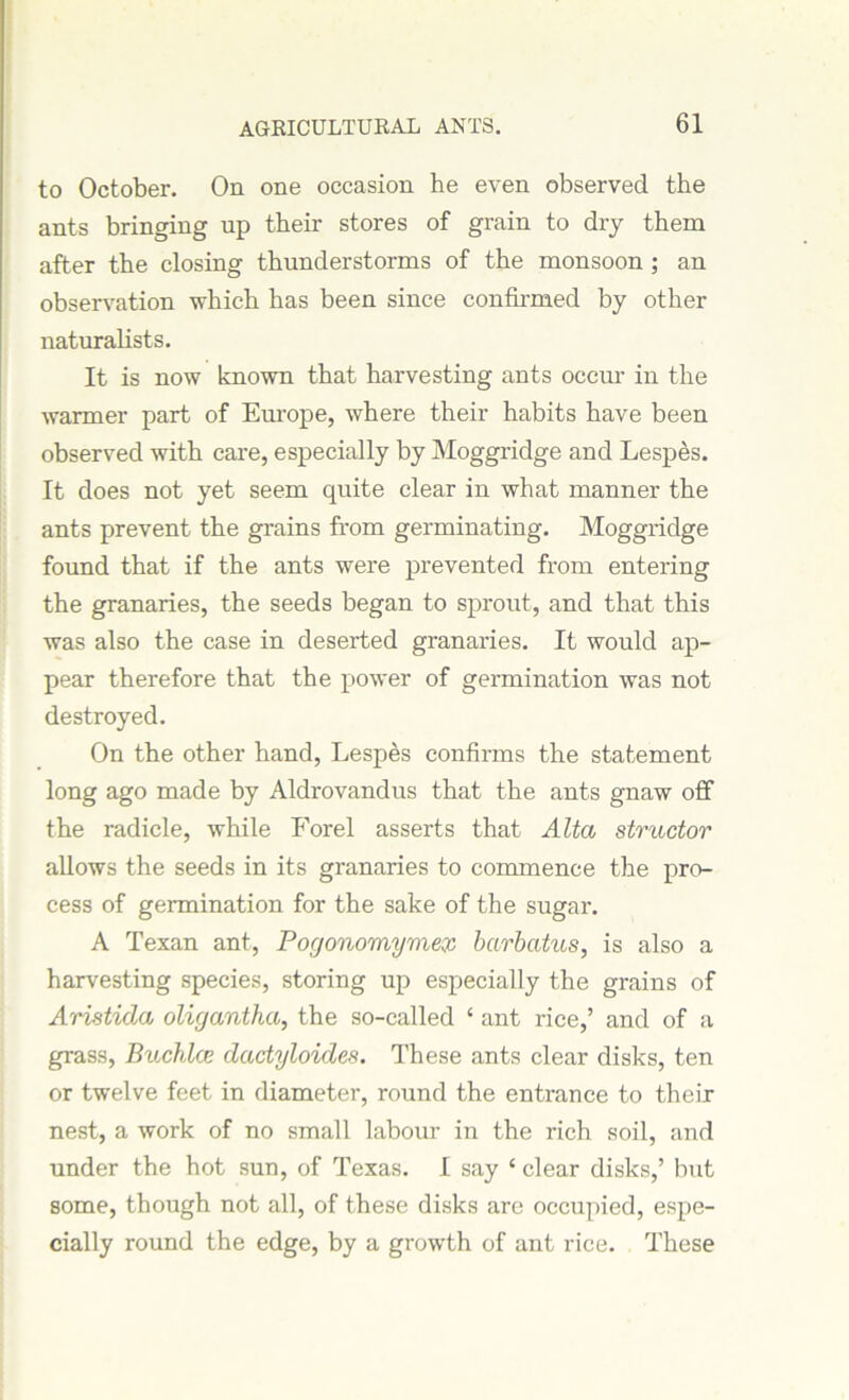 to October. On one occasion he even observed the ants bringing up their stores of grain to dry them after the closing thunderstorms of the monsoon ; an observation which has been since confirmed by other naturalists. It is now known that harvesting ants occur in the warmer part of Europe, where their habits have been observed with care, especially by Moggridge and Lespes. It does not yet seem quite clear in what manner the ants prevent the grains from germinating. Moggridge found that if the ants were prevented from entering the granaries, the seeds began to sprout, and that this was also the case in deserted granaries. It would ap- pear therefore that the power of germination was not destroyed. On the other hand, Lespes confirms the statement long ago made by Aldrovandus that the ants gnaw off the radicle, while Forel asserts that Alta structor allows the seeds in its granaries to commence the pro- cess of germination for the sake of the sugar. A Texan ant, Pogonomymex barbatus, is also a harvesting species, storing up especially the grains of Aristida oligantha, the so-called ‘ ant rice,’ and of a grass, Buchlce dactyloides. These ants clear disks, ten or twelve feet in diameter, round the entrance to their nest, a work of no small labour in the rich soil, and under the hot sun, of Texas. I say 1 clear disks,’ but some, though not all, of these disks are occupied, espe- cially round the edge, by a growth of ant rice. These