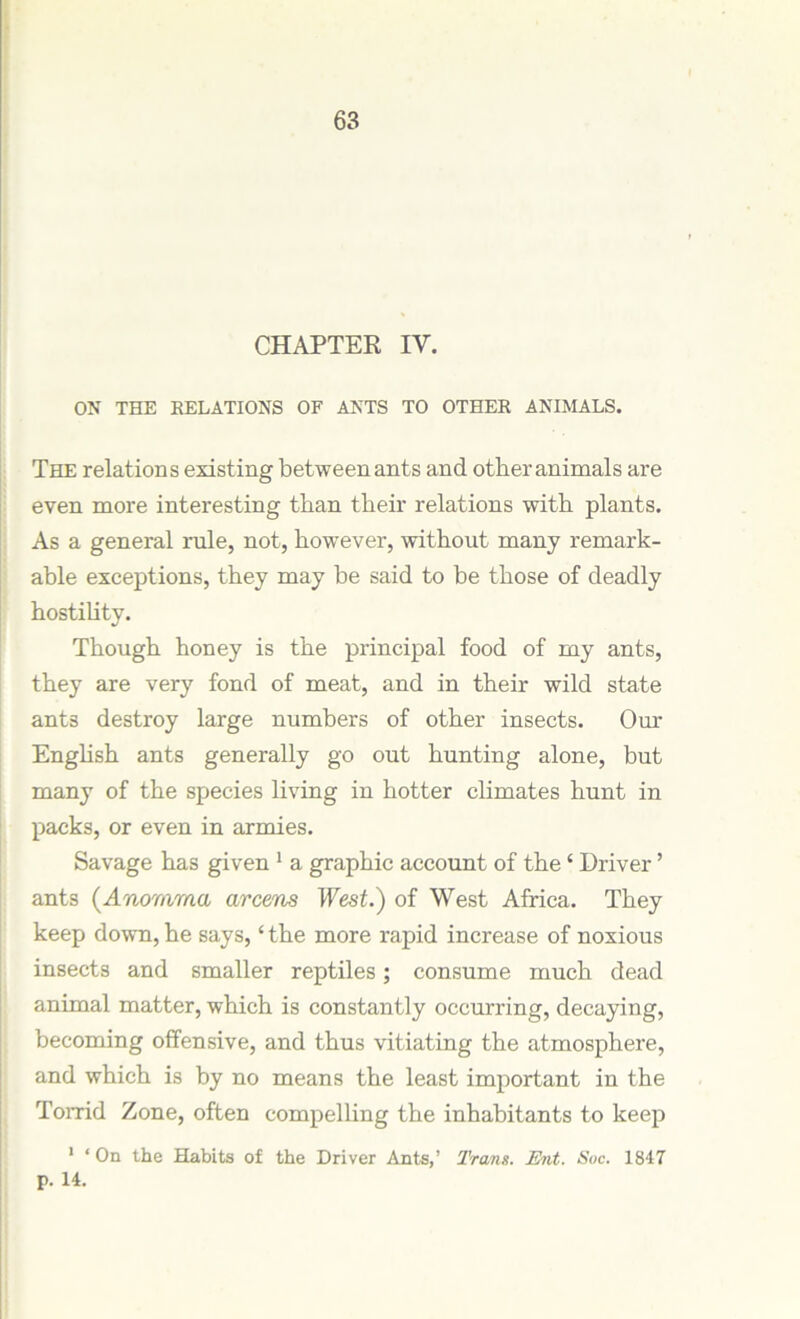 CHAPTER IV. ON THE RELATIONS OF ANTS TO OTHER ANIMALS. The relations existing between ants and other animals are even more interesting than their relations with plants. As a general rule, not, however, without many remark- able exceptions, they may be said to be those of deadly hostility. Though honey is the principal food of my ants, they are very fond of meat, and in their wild state ants destroy large numbers of other insects. Our English ants generally go out hunting alone, but many of the species living in hotter climates hunt in packs, or even in armies. Savage has given 1 a graphic account of the ‘ Driver ’ ants (Anomma arcens West.) of West Africa. They keep down, he says, ‘ the more rapid increase of noxious insects and smaller reptiles; consume much dead animal matter, which is constantly occurring, decaying, becoming offensive, and thus vitiating the atmosphere, and which is by no means the least important in the Torrid Zone, often compelling the inhabitants to keep 1 ‘On the Habits of the Driver Ants,’ Trans. Ent. Soc. 1847 p. 14.