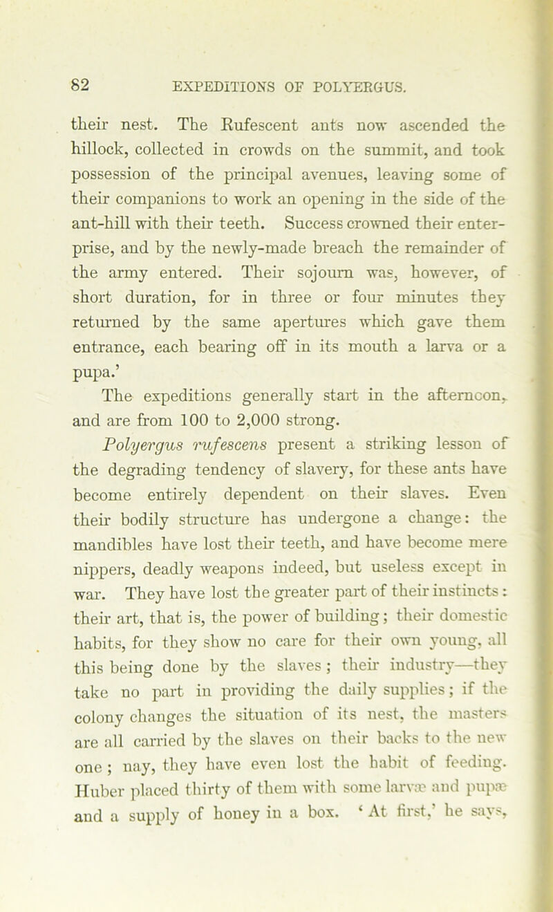 their nest. The Rufescent ants now ascended the hillock, collected in crowds on the summit, and took possession of the principal avenues, leaving some of their companions to work an opening in the side of the ant-hill with their teeth. Success crowned their enter- prise, and by the newly-made breach the remainder of the army entered. Then- sojourn was, however, of short duration, for in three or four minutes they returned by the same apertures which gave them entrance, each bearing off in its mouth a larva or a pupa.’ The expeditions generally start in the aftemcon, and are from 100 to 2,000 strong. Polyergus rufescens present a striking lesson of the degrading tendency of slavery, for these ants have become entirely dependent on their slaves. Even then- bodily structure has undergone a change: the mandibles have lost their teeth, and have become mere nippers, deadly weapons indeed, but useless except in war. They have lost the greater part of their instincts: their art, that is, the power of building; their domestic habits, for they show no care for their own young, all this being done by the slaves ; them industry—they take no part in providing the daily supplies; if the colony changes the situation of its nest, the masters are all carried by the slaves on their backs to the new one ; nay, they have even lost the habit of feeding. Huber placed thirty of them with some larvae and pup® and a supply of honey in a box. 4 At fust, he sa\s,