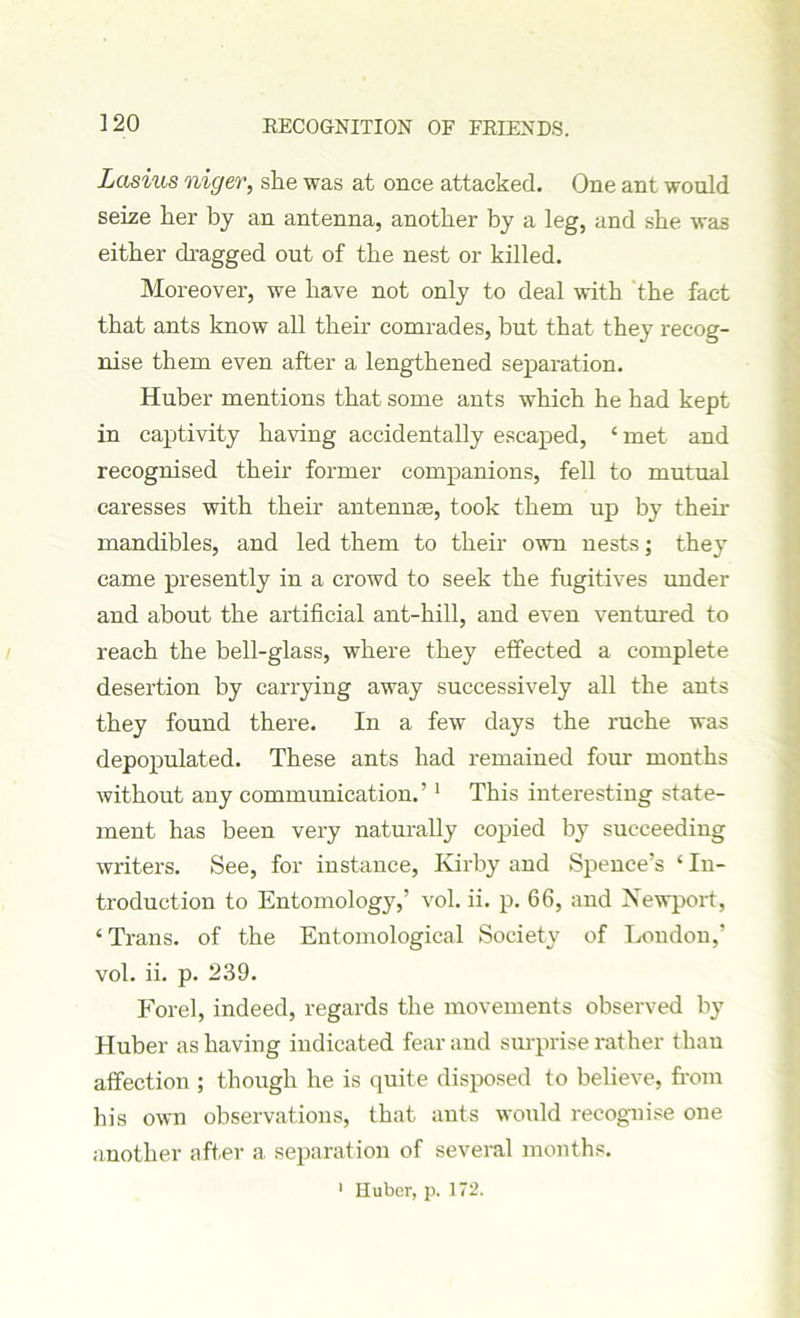 Lasius niger, she was at once attacked. One ant would seize her by an antenna, another by a leg, and she was either dragged out of the nest or killed. Moreover, we have not only to deal with the fact that ants know all their comrades, but that they recog- nise them even after a lengthened separation. Huber mentions that some ants which he had kept in captivity having accidentally escaped, ‘ met and recognised their former companions, fell to mutual caresses with their antennae, took them up by then mandibles, and led them to their own nests; they came presently in a crowd to seek the fugitives under and about the artificial ant-hill, and even ventured to reach the bell-glass, where they effected a complete desertion by carrying away successively all the ants they found there. In a few days the ruche was depopulated. These ants had remained four months without any communication.’1 This interesting state- ment has been very naturally copied by succeeding writers. See, for instance, Kirby and Spence’s ‘ In- troduction to Entomology,’ vol. ii. p. 66, and Newport, ‘Trans, of the Entomological Society of London,’ vol. ii. p. 239. Forel, indeed, regards the movements observed by Huber as having indicated fear and surprise rather than affection ; though he is quite disposed to believe, from his own observations, that ants would recognise one another after a separation of several months. 1 Huber, p. 172.