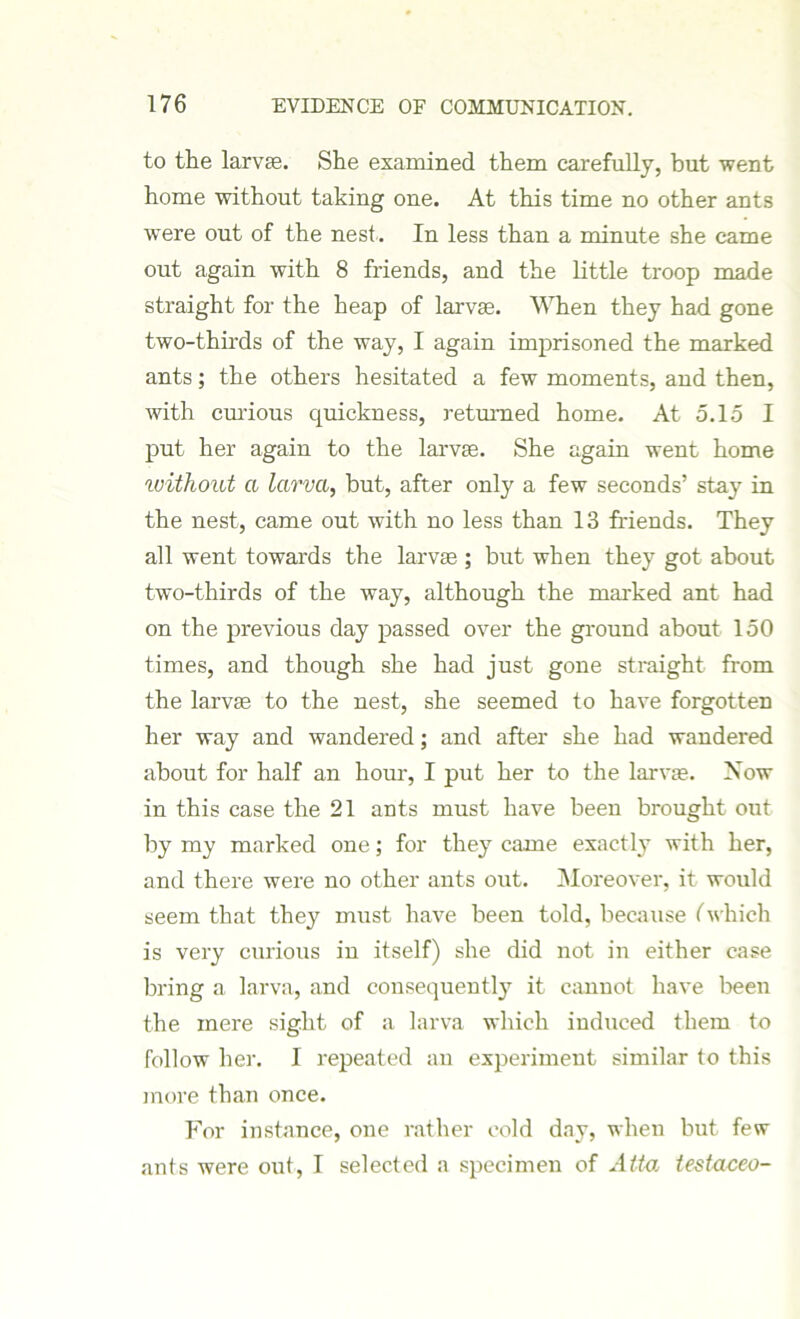 to the larvae. She examined them carefully, but went home without taking one. At this time no other ants were out of the nest . In less than a minute she came out again with 8 friends, and the little troop made straight for the heap of larvae. When they had gone two-thirds of the way, I again imprisoned the marked ants; the others hesitated a few moments, and then, with curious quickness, returned home. At 5.15 I put her again to the larvae. She again went home without a larva, but, after only a few seconds’ stay in the nest, came out with no less than 13 friends. They all went towards the larvae ; but when they got about two-thirds of the way, although the marked ant had on the previous day passed over the ground about 150 times, and though she had just gone straight from the larvae to the nest, she seemed to have forgotten her way and wandered; and after she had wandered about for half an hour, I put her to the larvae. Now in this case the 21 ants must have been brought out by my marked one; for they came exactly with her, and there were no other ants out. Moreover, it would seem that they must have been told, because (which is very curious in itself) she did not in either case bring a larva, and consequently it cannot have been the mere sight of a larva which induced them to follow her. I repeated an experiment similar to this more than once. For instance, one rather cold day, when but few ants were out, I selected a specimen of Atta testaceo-