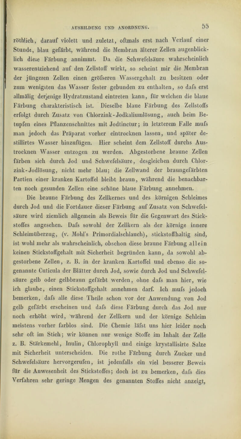 röthUch, darauf violett und zuletzt, oftmals erst nach Verlauf einer Stunde, blau gefärbt, während die Membran älterer Zellen augenblick- lich diese Färbung annimmt. Da die Schwefelsäure wahrscheinlich wasserentziehend auf den Zellstolf wirkt, so scheint mir die Membran der jüngeren Zellen einen gröfseren Wassergehalt zu besitzen oder zum wenigsten das Wasser fester gebunden zu enthalten, so dafs erst allmälig derjenige Hydratzustand eintreten kann, für welchen die blaue Färbung charakteristisch ist. Dieselbe blaue Färbung des Zellstolfs erfolgt durch Zusatz von Chlorzink-Jodkaliumlösung, auch heim Be- tupfen eines Pflanzenschnittes mit Jodtinctur; in letzterem Falle mufs man jedoch das Präparat vorher eintrocknen lassen, und später de- stillirtes Wasser hinzufügen. Hier scheint dem Zellstolf durchs Aus- trocknen Wasser entzogen zu werden. Abgestorbene braune Zellen färben sich durch Jod und Schwefelsäure, desgleichen durch Chlor- zink-Jodlösung, nicht mehr blau; die Zellwand der hraungefärbten Partien einer kranken Kartoffel bleibt braun, während die benachbar- ten noch gesunden Zellen eine schöne blaue Färbung annehmen. Die braune Färbung des Zellkernes und des körnigen Schleimes durch Jod und die Fortdauer dieser Färbung auf Zusatz von Schwefel- säure wird ziemlich allgemein als Beweis für die Gegenwart des Stick- stoffes angesehen. Dafs sowohl der Zellkern als der körnige innere ft Schleimüberzug, (v. Mohl’s Primordialschlauch), stickstoffhaltig sind, ist wohl mehr als wahrscheinlich, obschon diese braune Färbung allein keinen Stickstoffgehalt mit Sicherheit begründen kann, da sowohl ab- gestorbene Zellen, z. B. in der kranken Kartoffel und ebenso die so- genannte Cuticula der Blätter durch Jod, sowie durch Jod und Schwefel- säure gelb oder gelbbraun gefärbt werden, ohne dafs man hier, wie ich glaube, einen Stickstoffgehalt annehmen darf. Ich mufs jedoch bemerken, dafs alle diese Theile schon vor der Anwendung von Jod gelb gefärbt erscheinen und dafs diese Färbung durch das Jod nur noch erhöht wird, während der Zellkern und der körnige Schleim meistens vorher farblos sind. Die Chemie läfst uns hier leider noch sehr oft im Stich; wir können nur wenige Stoffe im Inhalt der Zelle z. B. Stärkemehl, Inulin, Chlorophyll und einige krystallisirte Salze mit Sicherheit unterscheiden. Die rothe Färbung durch Zucker und Schwefelsäure hervorgerufen, ist jedenfalls ein viel besserer Beweis Pur die Anwesenheit des Stickstoffes; doch ist zu bemerken, dafs dies Verfahren sehr geringe Mengen des genannten Stoffes nicht anzeigt.