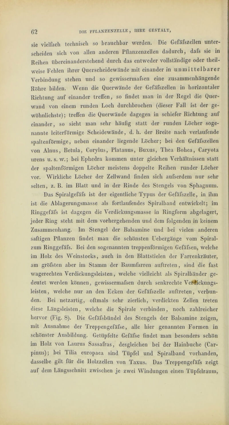 sie vielfach technisch so brauchbar werden. Die Gefäfszellen unter- scheiden sich von allen anderen Pllanzenzellen dadurch, dafs sie in Reihen übereinanderslehend durch das entweder vollständige oder theil- weise Fehlen ihrer Querscheidewände mit einander in unmittelbarer Verbindung stehen und so gewissermafsen eine zusammenhängende Röhre bilden. Wenn die Querwände der Gefäfszellen in horizontaler Richtung auf einander treffen, so findet man in der Regel die Quer- wand von einem runden Loch durchbrochen (dieser Fall ist der ge- wöhnlichste); treffen die Querwände dagegen in schiefer Richtung auf einander, so sieht man sehr häufig statt der runden Löcher soge- nannte leiterförmige Scheidewände, d. h. der Breite nach verlaufende spaltenförmige, neben einander liegende Löcher; bei den Gefäfszellen von Ainus, Betula, Corjlus, Platanus, Buxus, Thea Bohea, Caryota urens u. s. w.; bei Ephedra kommen unter gleichen Verhältnissen statt der spaltenförmigen Löcher meistens doppelte Reihen runder Löcher vor. Wirkliche Löcher der Zellwand finden sich aufserdem nur sehr selten, z, B. im Blatt und in der Rinde des Stengels von Sphagnum. Das Spiralgefäfs ist der eigentliche Typus der Gefäfszelle, in ihm ist die Ablagerungsmasse als fortlaufendes Spiralband entwickelt; im Ringgefäfs ist dagegen die Verdickungsmasse in Ringforra abgelagert, jeder Ring steht mit dem vorhergehenden und dem folgenden in keinem Zusammenhang. Im Stengel der Balsamine und bei vielen anderen saftigen Pflanzen findet man die schönsten üebergänge vom Spiral- zum Ringgefäfs. Bei den sogenannten treppenförmigen Gefäfsen, welche im Holz des Weinstocks, auch in den Blattstielen der Farrenkräuter, am gröfsten aber im Stamm der Baumfarren auftreten, sind die fast wagerechten Verdickungsleisten, welche vielleicht als Spiralbänder ge- deutet werden können, gewissermafsen durch senkrechte Verftickungs- leisten, welche nur an den Ecken der Gefäfszelle auftreten, verbun- den. Bei netzartig, oftmals sehr zierlich, verdickten Zellen treten diese Längsleisten, welche die Spirale verbinden, noch zahlreicher hervor (Fig. 8). Die Gefäfsbündel des Stengels der Balsamine zeigen, mit Ausnahme der Treppengefäfse, alle hier genannten Formen in schönster Ausbildung. Getüpfelte Gefäfse findet man besonders schön im Holz von Laurus Sassafras, desgleichen bei der Hainbuche (Car- pinus); bei Tilia europaea sind Tüpfel und Spiralband vorhanden, dasselbe gilt für die Holzzellen von Taxus. Das Treppengefäfs zeigt auf dem Längsschnitt zwischen je zwei Windungen einen Tüpfelraum,